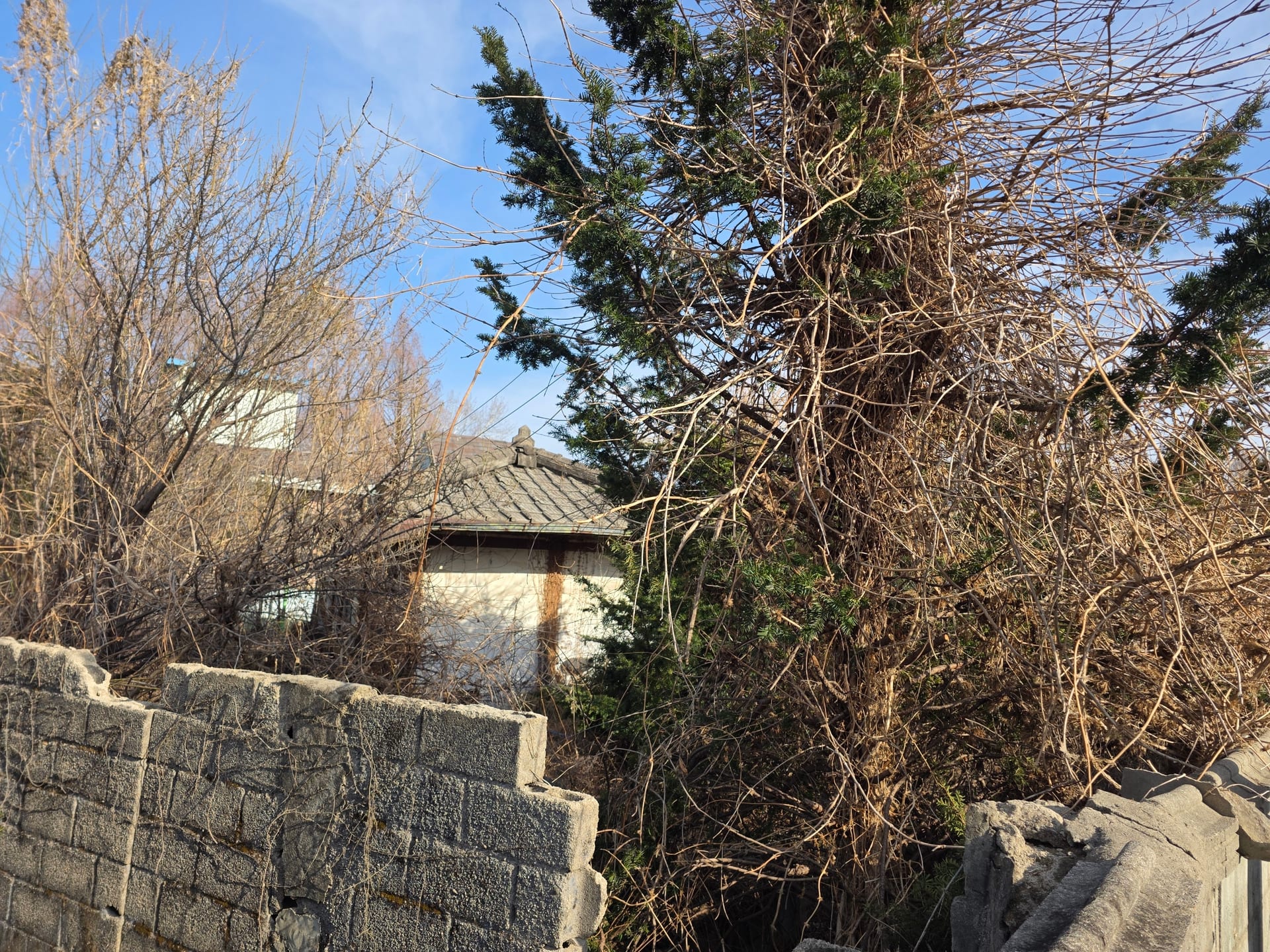 Single-story detached house, wood construction — image 2