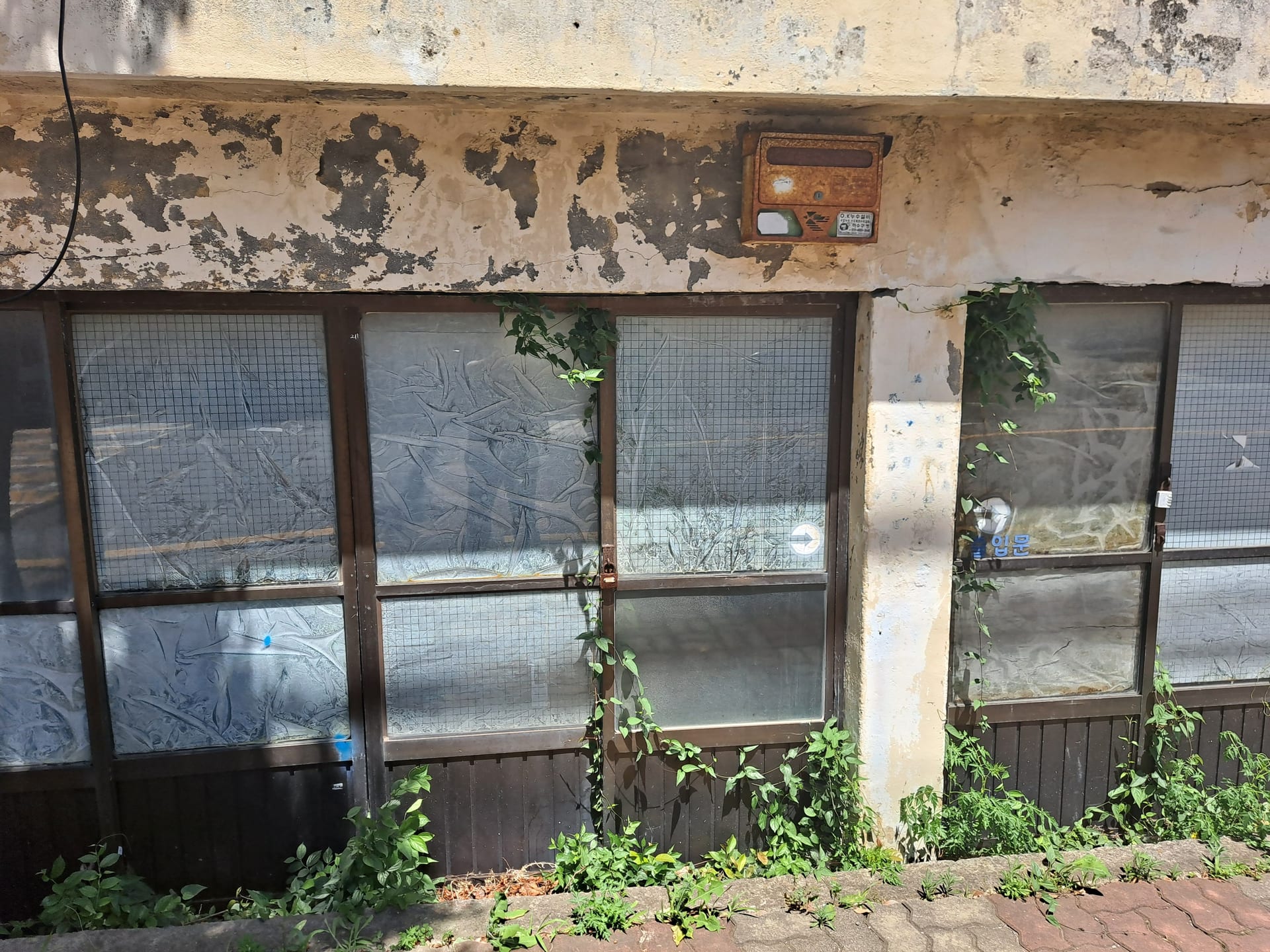 Long-abandoned vacant house — image 7