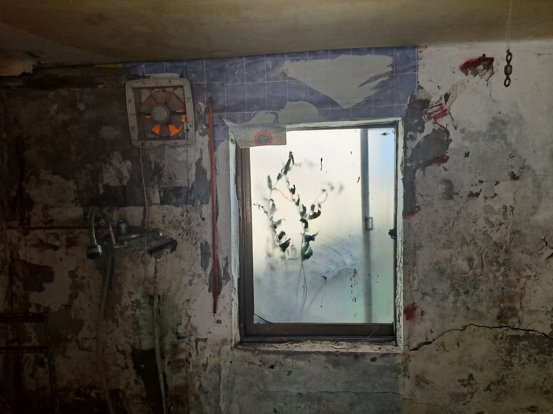 Long-abandoned vacant house — image 8