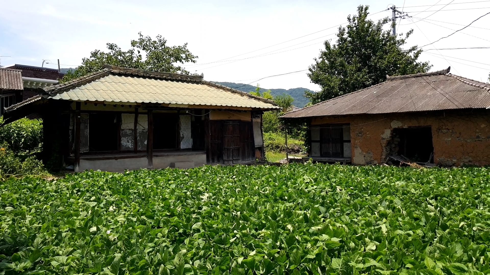 House on a large lot and country home — image 10