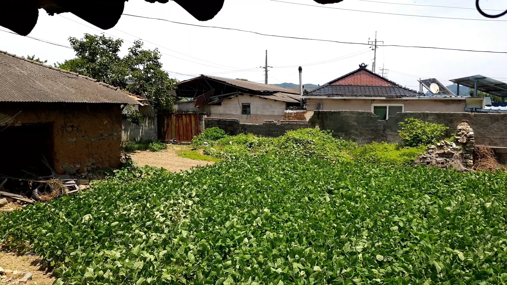 House on a large lot and country home — image 4