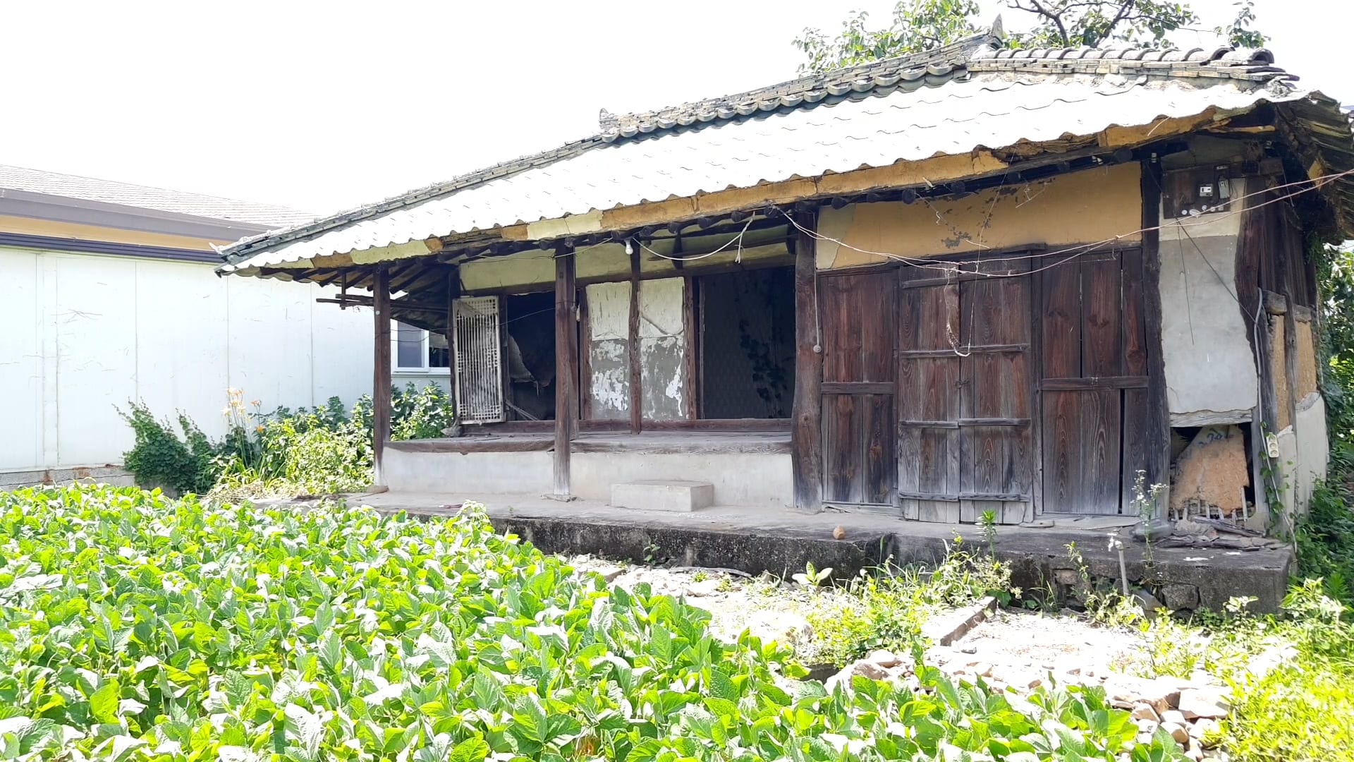 House on a large lot and country home — image 6