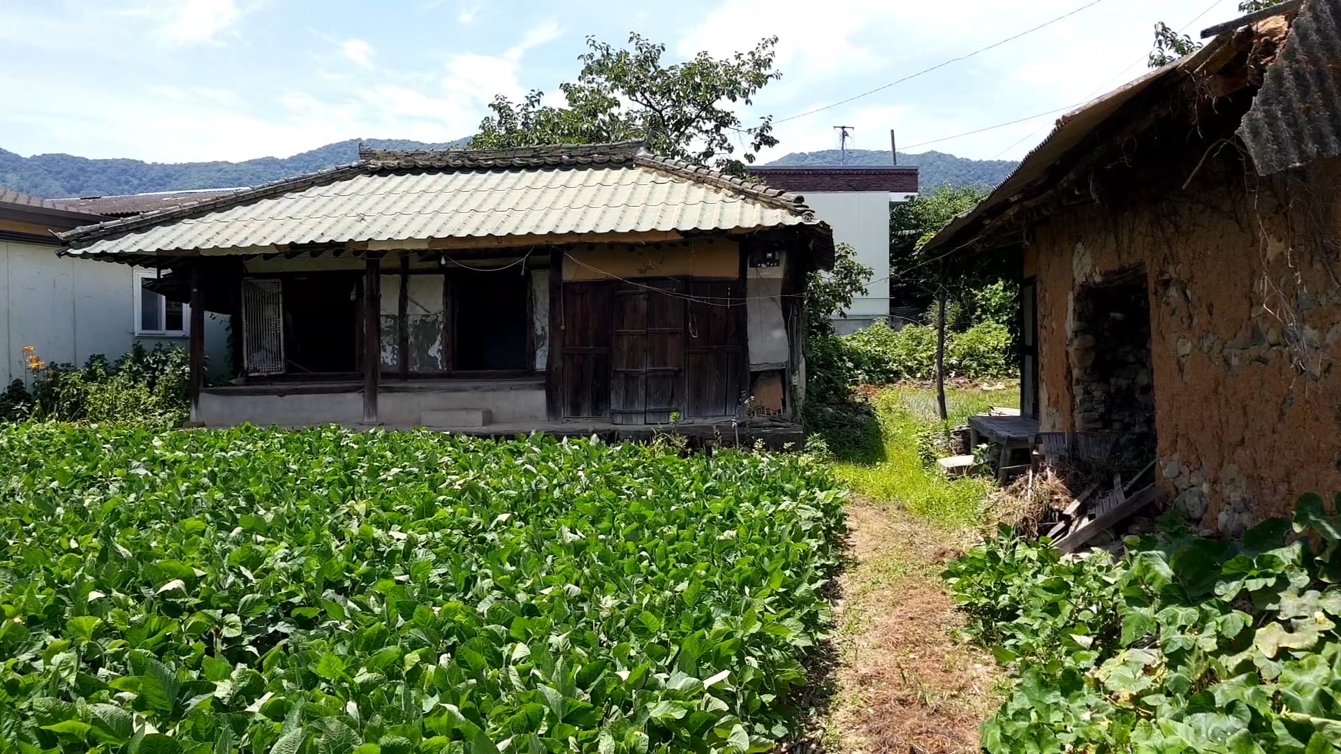House on a large lot and country home — image 8