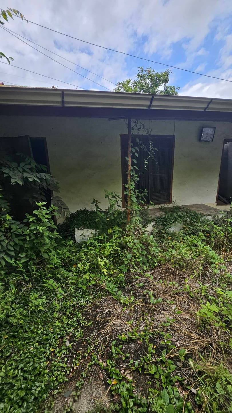 Rural House