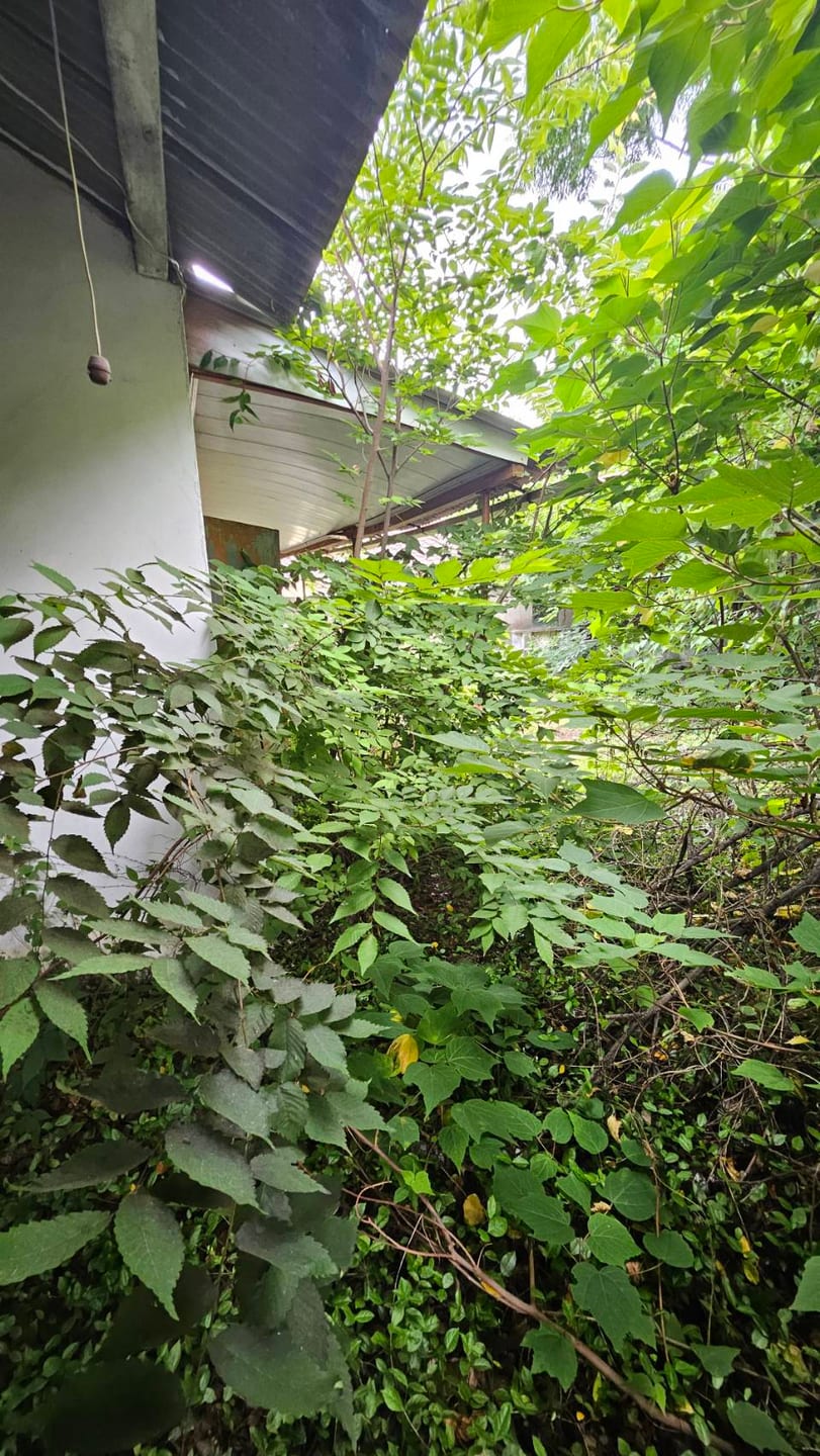Rural House — image 3
