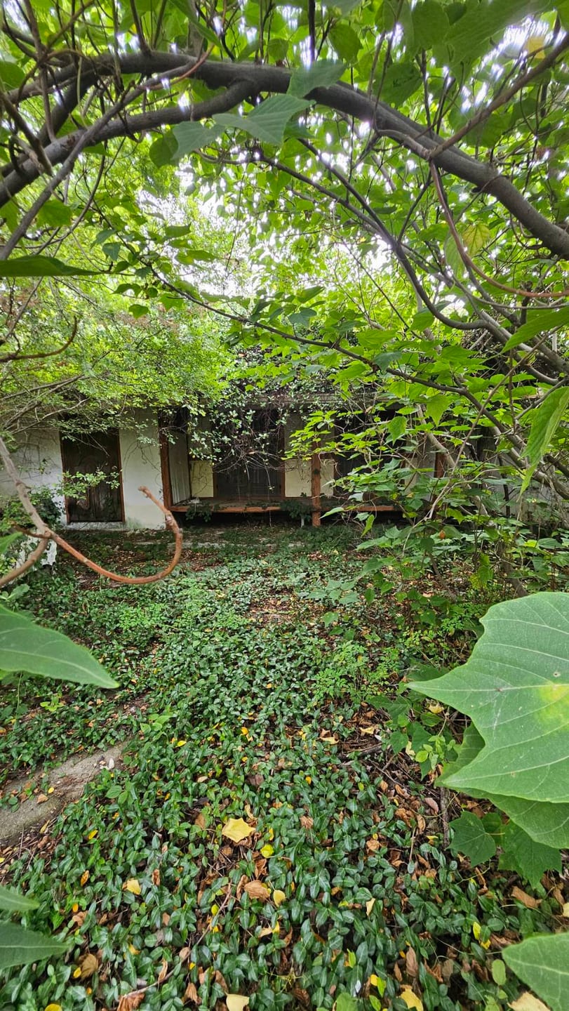 Rural House — image 4
