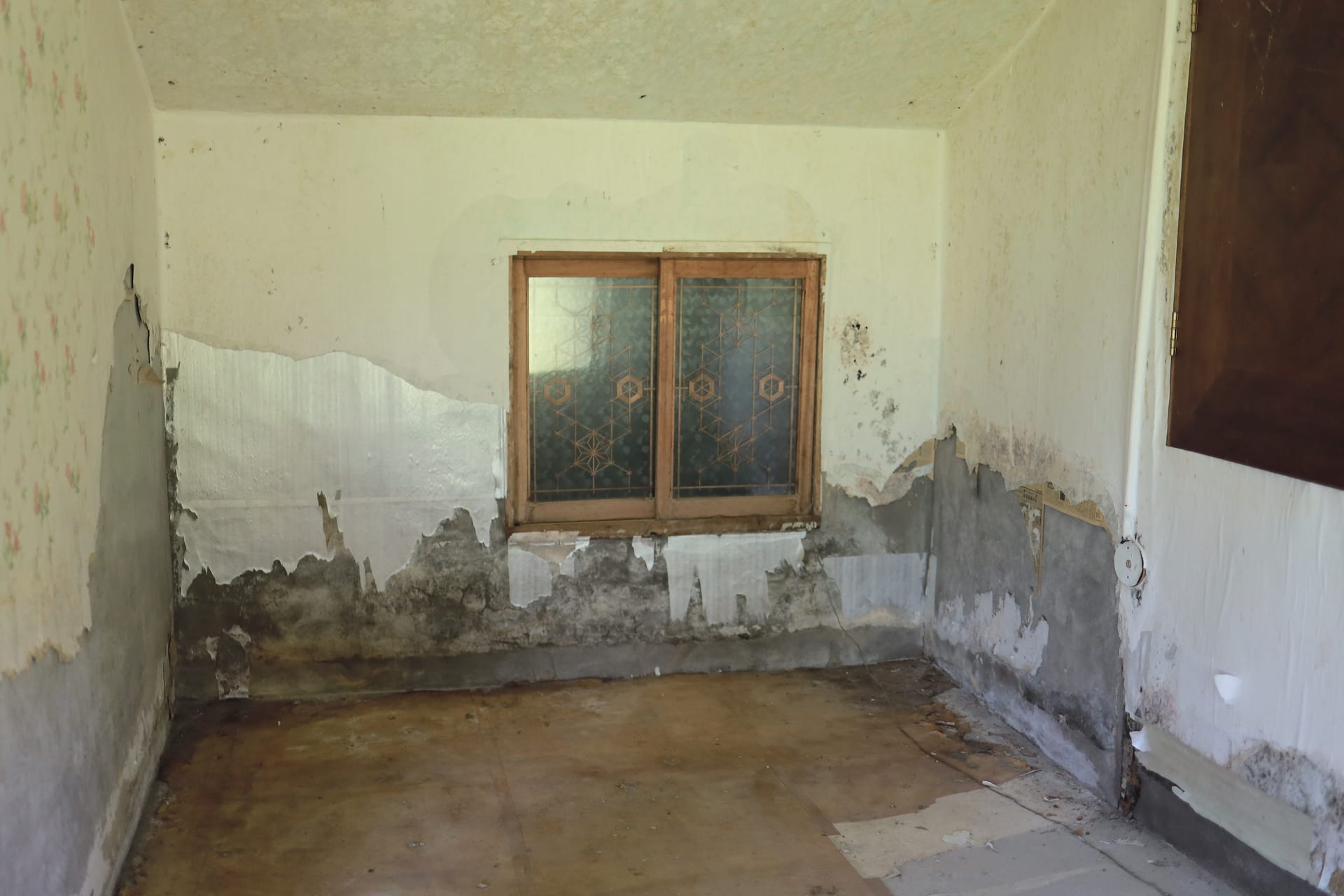 A private pension site for sale in pristine Chujado, an island within an island (annual rent KRW 1 million) — image 11