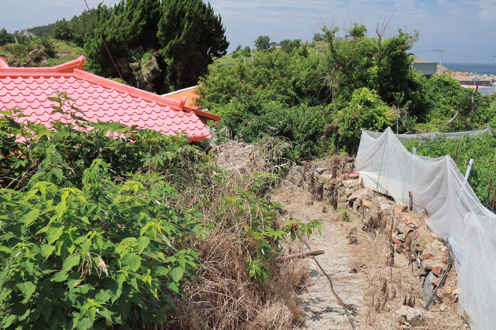 A private pension site for sale in pristine Chujado, an island within an island (annual rent KRW 1 million) — image 8