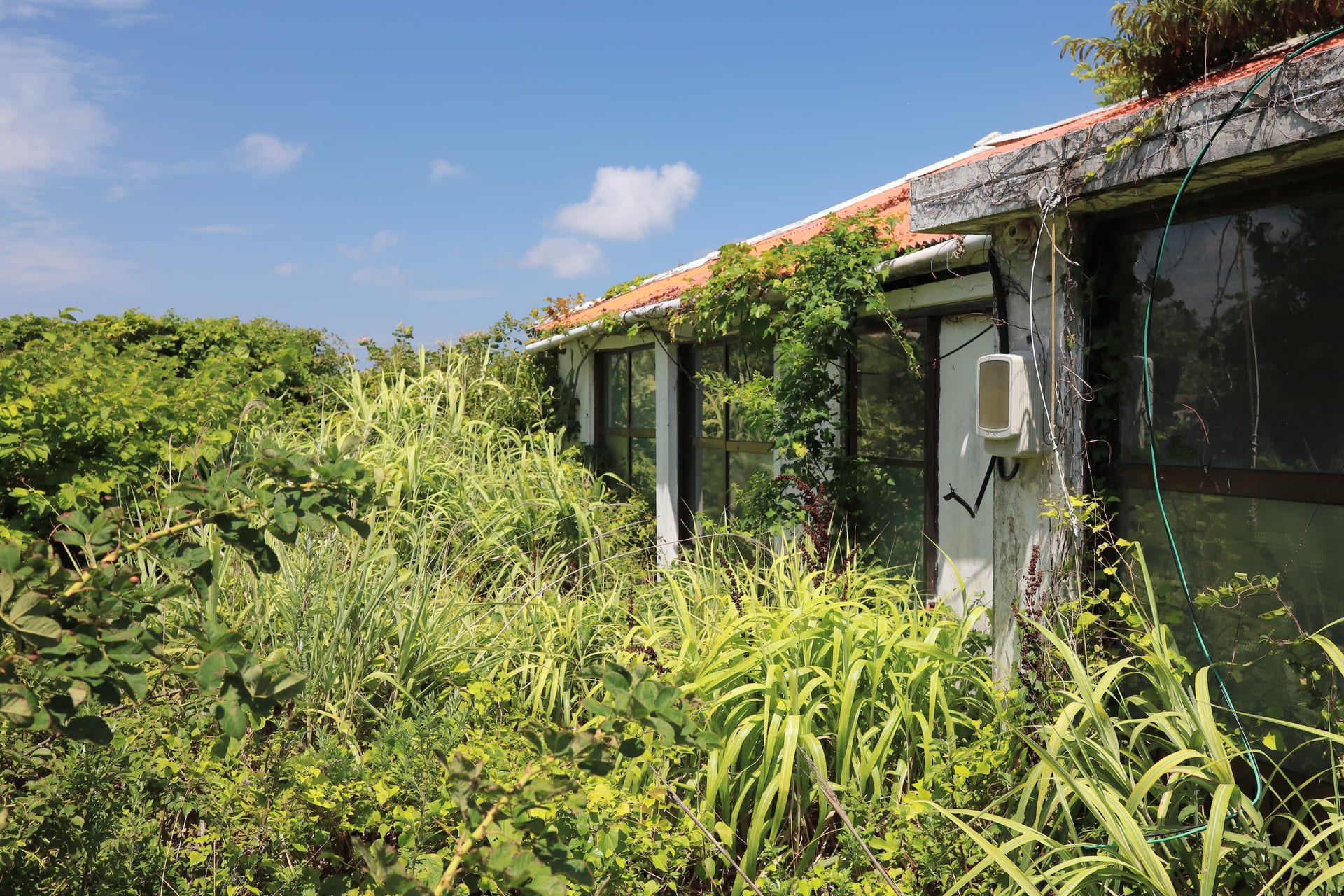 A private pension site for sale in pristine Chujado, an island within an island (annual rent KRW 1 million) — image 9
