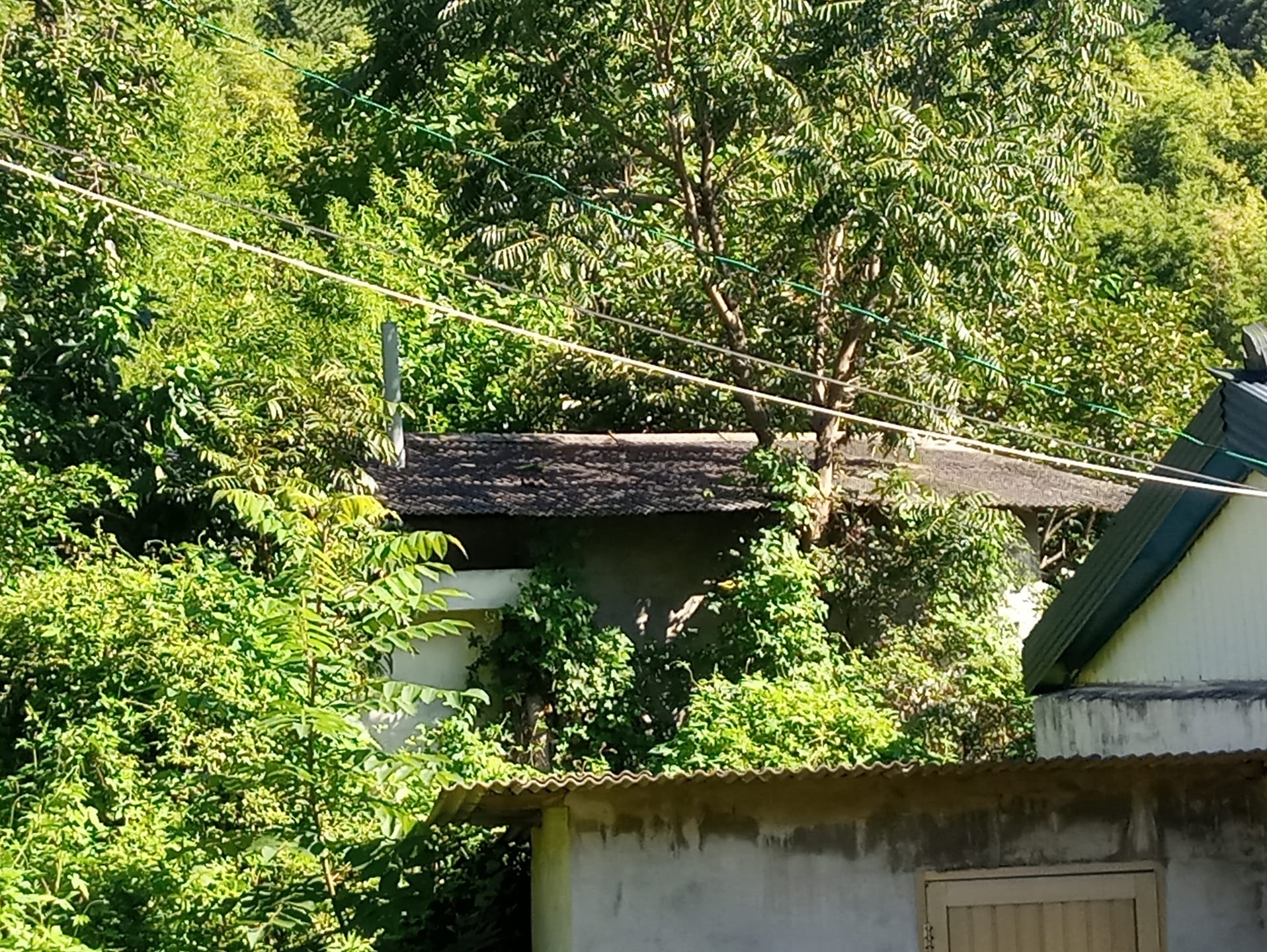Country house in Gaerye-myeon, Uiryeong — image 2