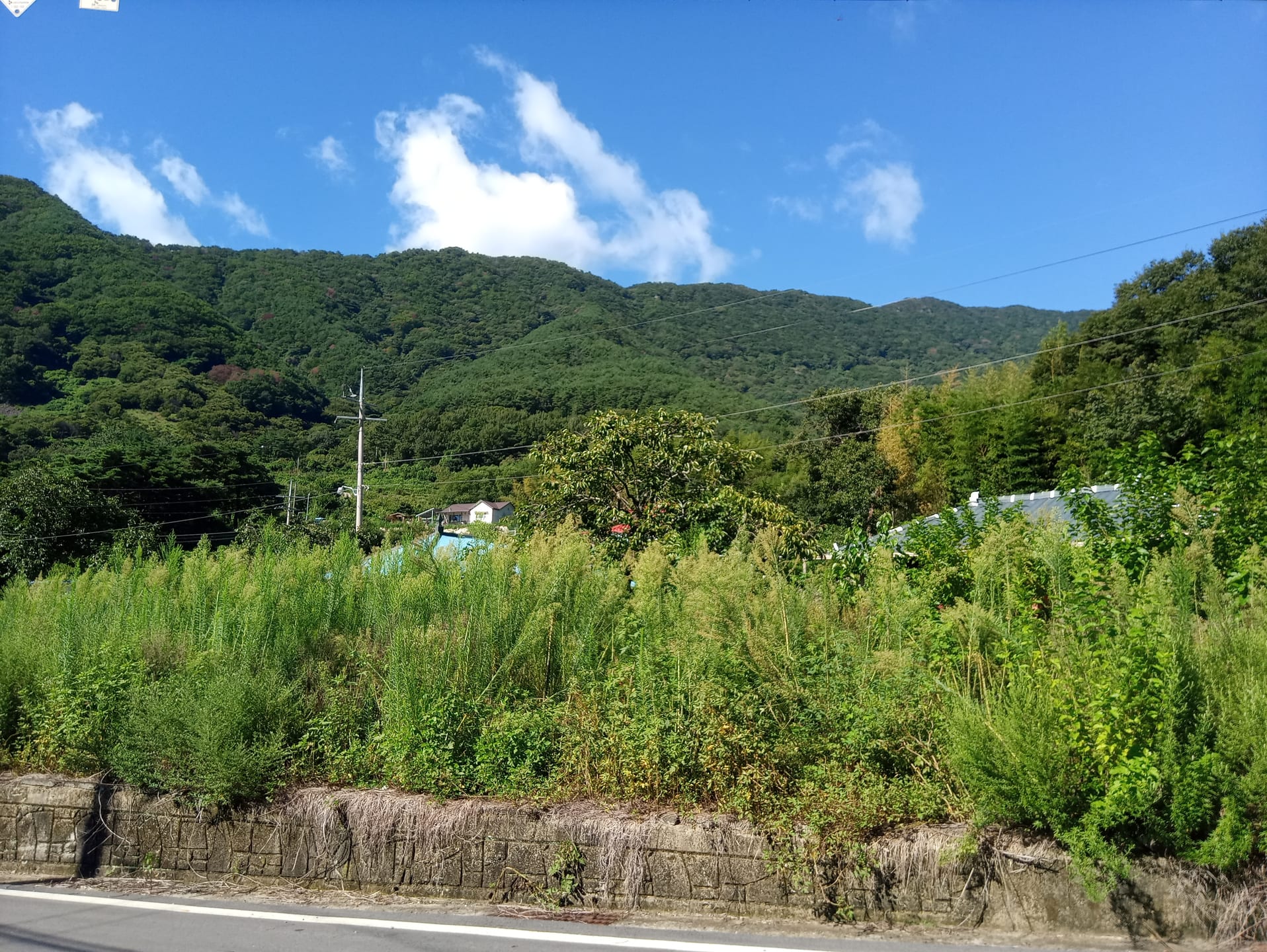 Country house in Gaerye-myeon, Uiryeong — image 5