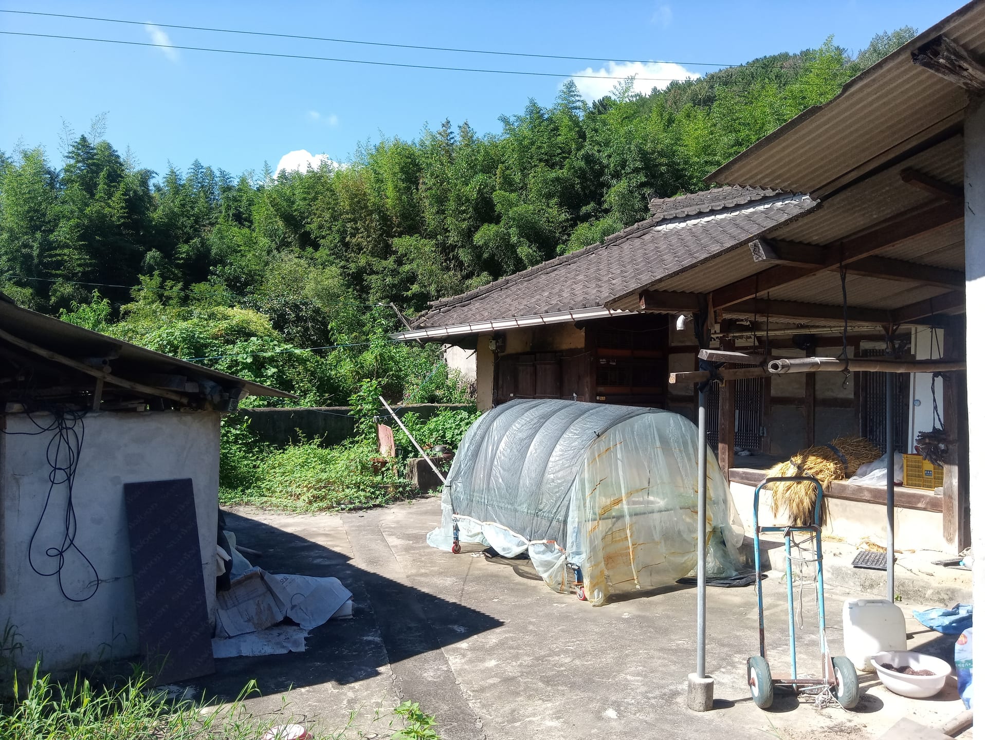 Country house on Nakdonggang-ro in Nakseo-myeon, Uiryeong — image 4
