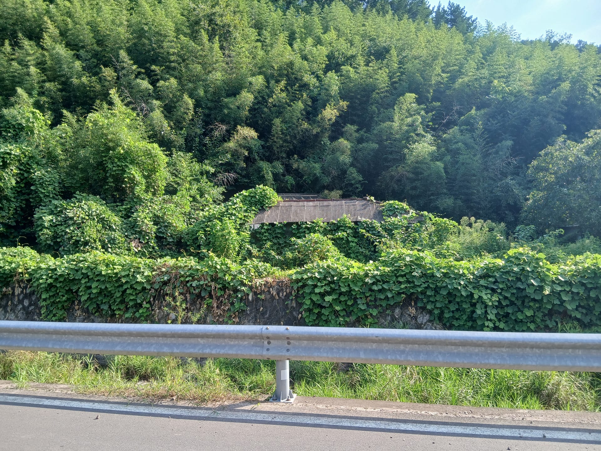 Country house in Jeonggok-myeon, Uiryeong — image 2