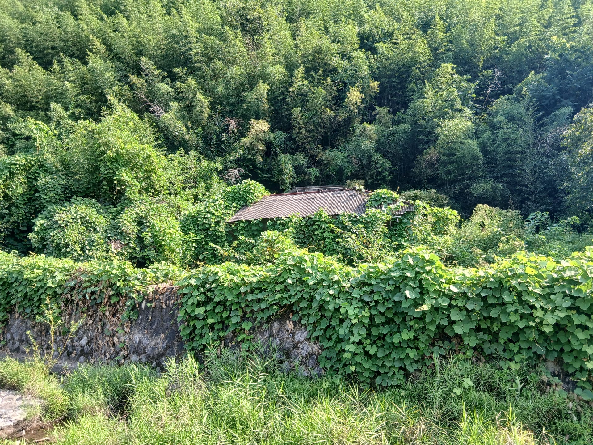 Country house in Jeonggok-myeon, Uiryeong — image 3