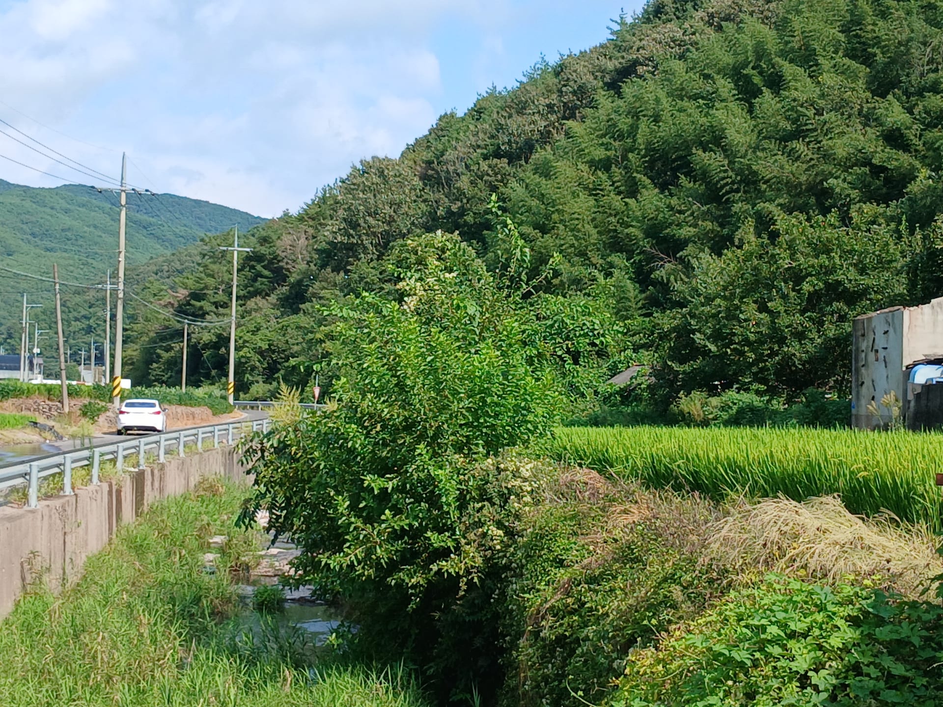 Country house in Jeonggok-myeon, Uiryeong — image 4