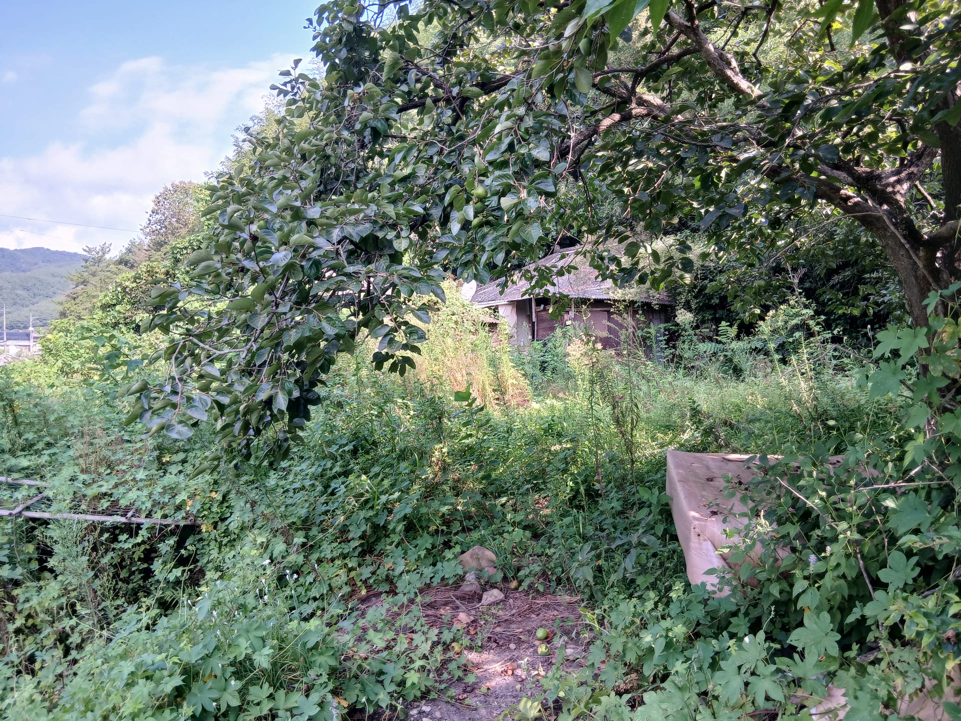 Country house in Jeonggok-myeon, Uiryeong — image 6