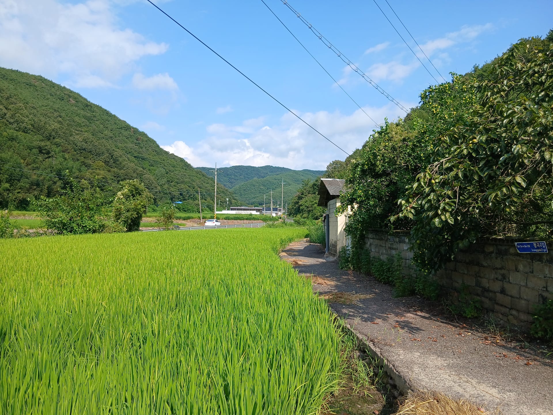 Country house in Jeonggok-myeon, Uiryeong — image 8