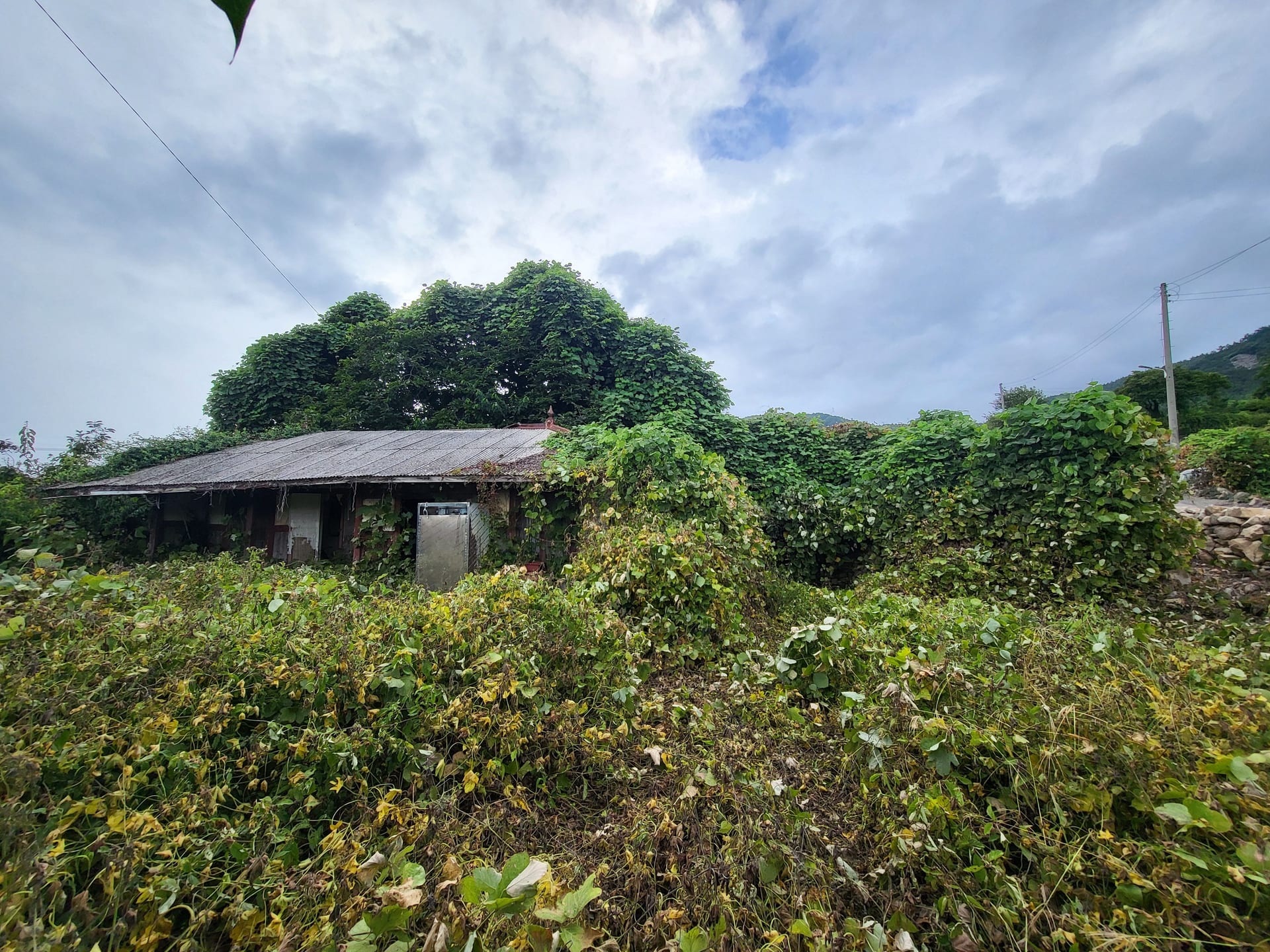 Old House with Ocean View