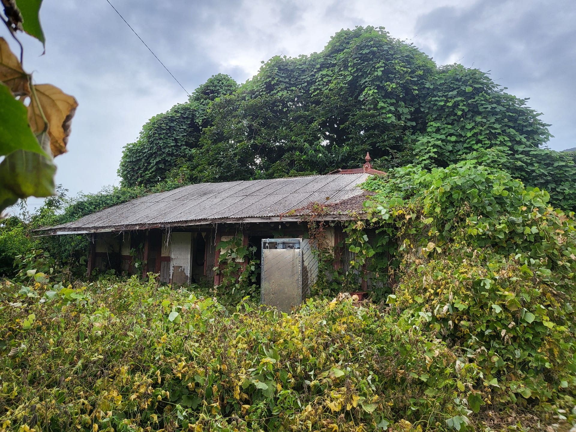 Old House with Ocean View — image 2