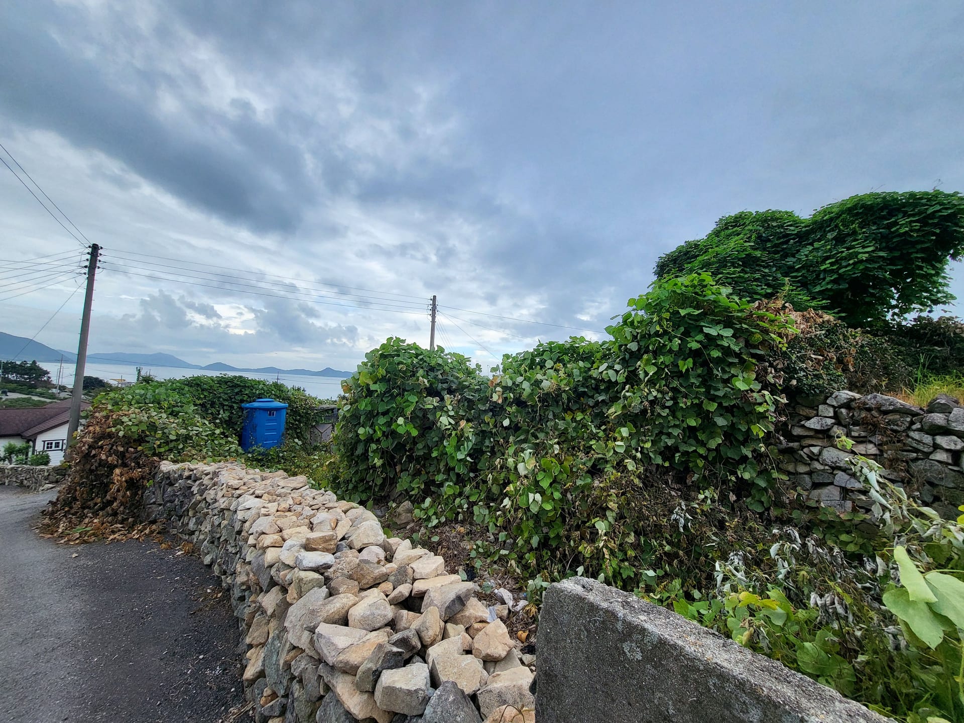 Old House with Ocean View — image 4