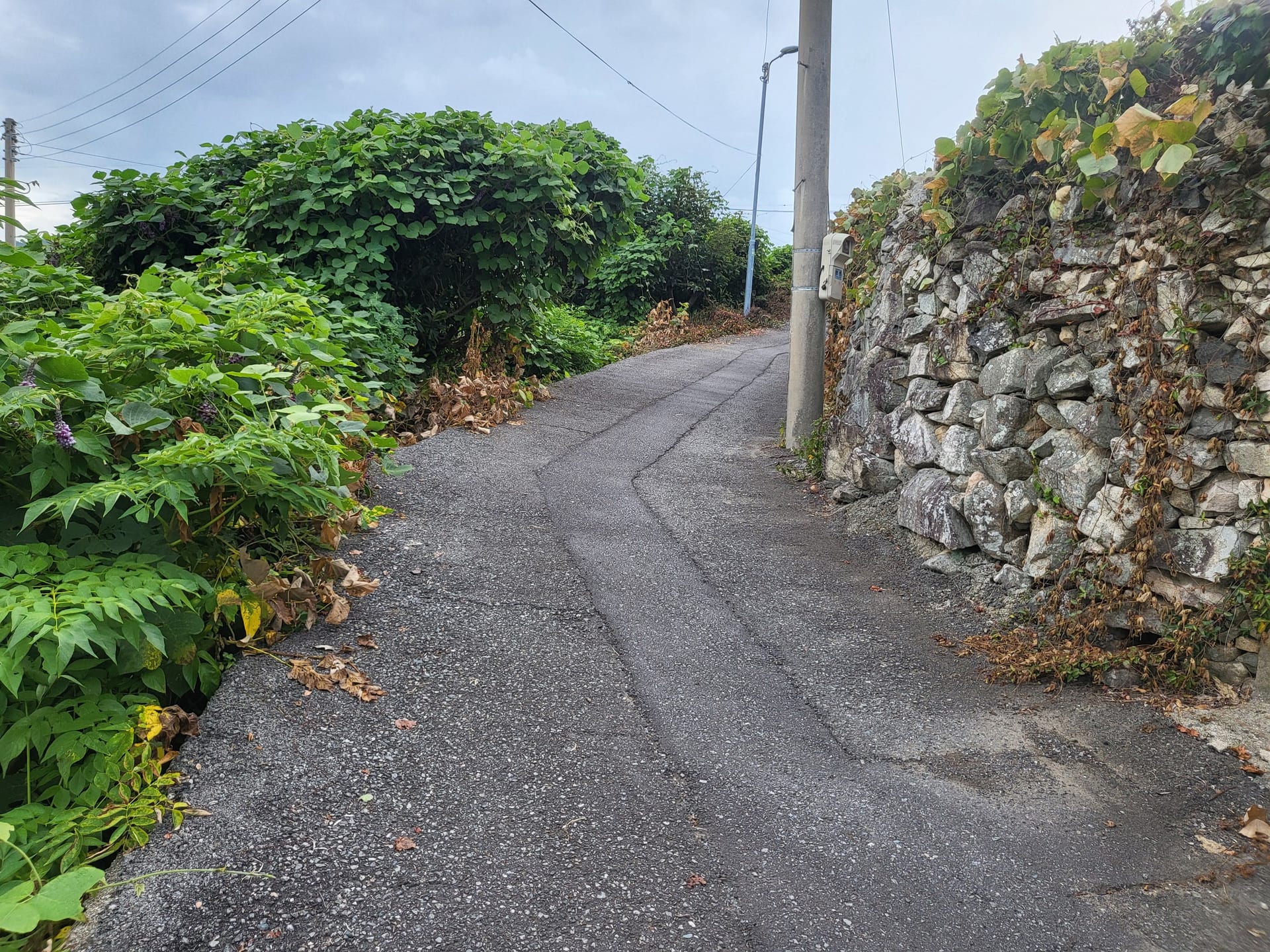 Old House with Ocean View — image 5