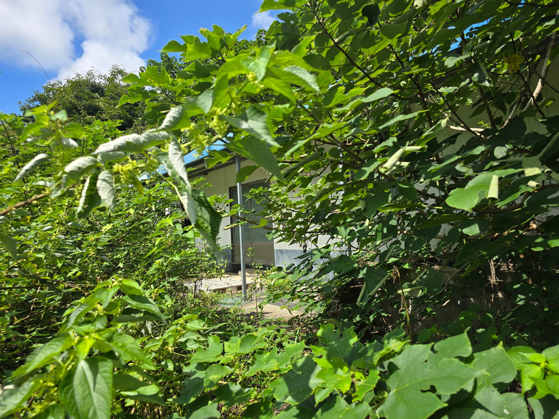 Farmhouse — image 3