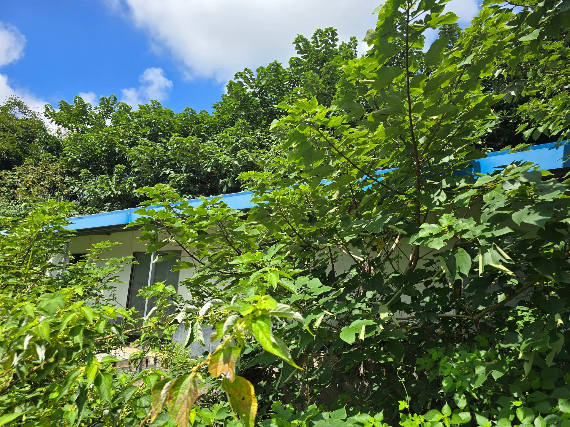 Farmhouse — image 4