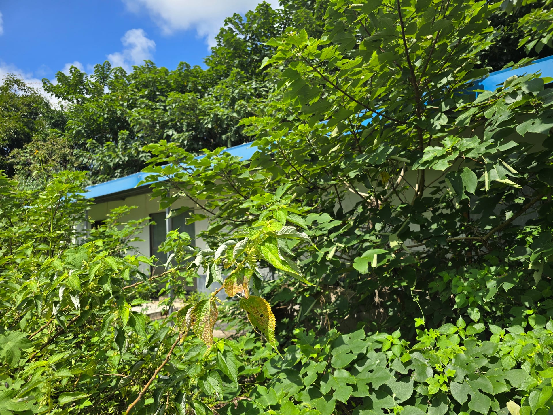Farmhouse — image 5