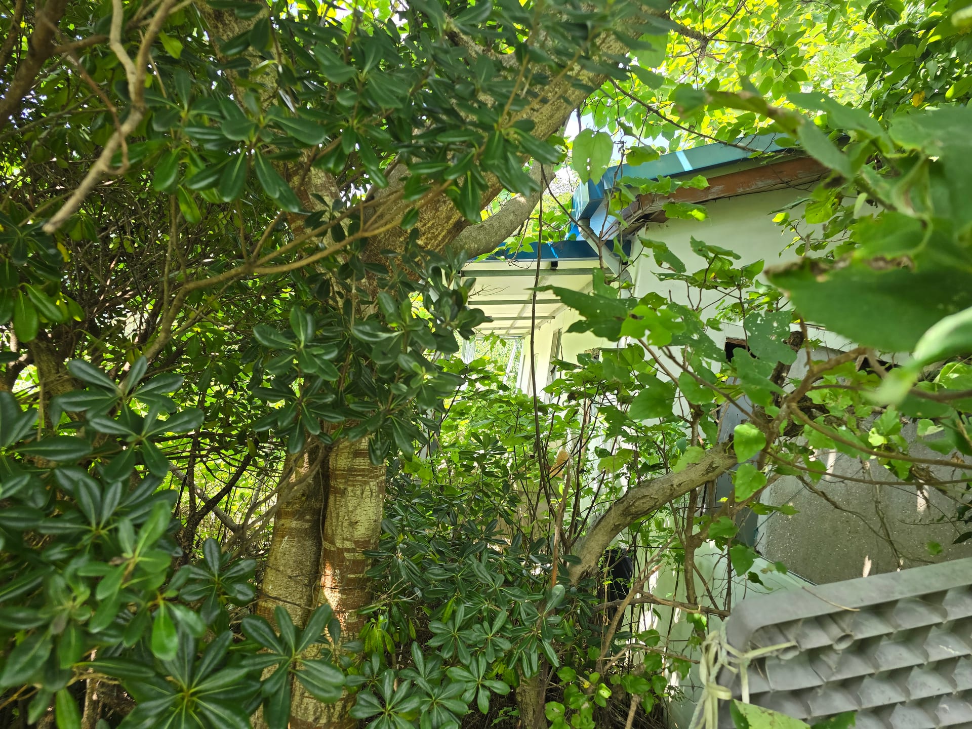 Farmhouse — image 6