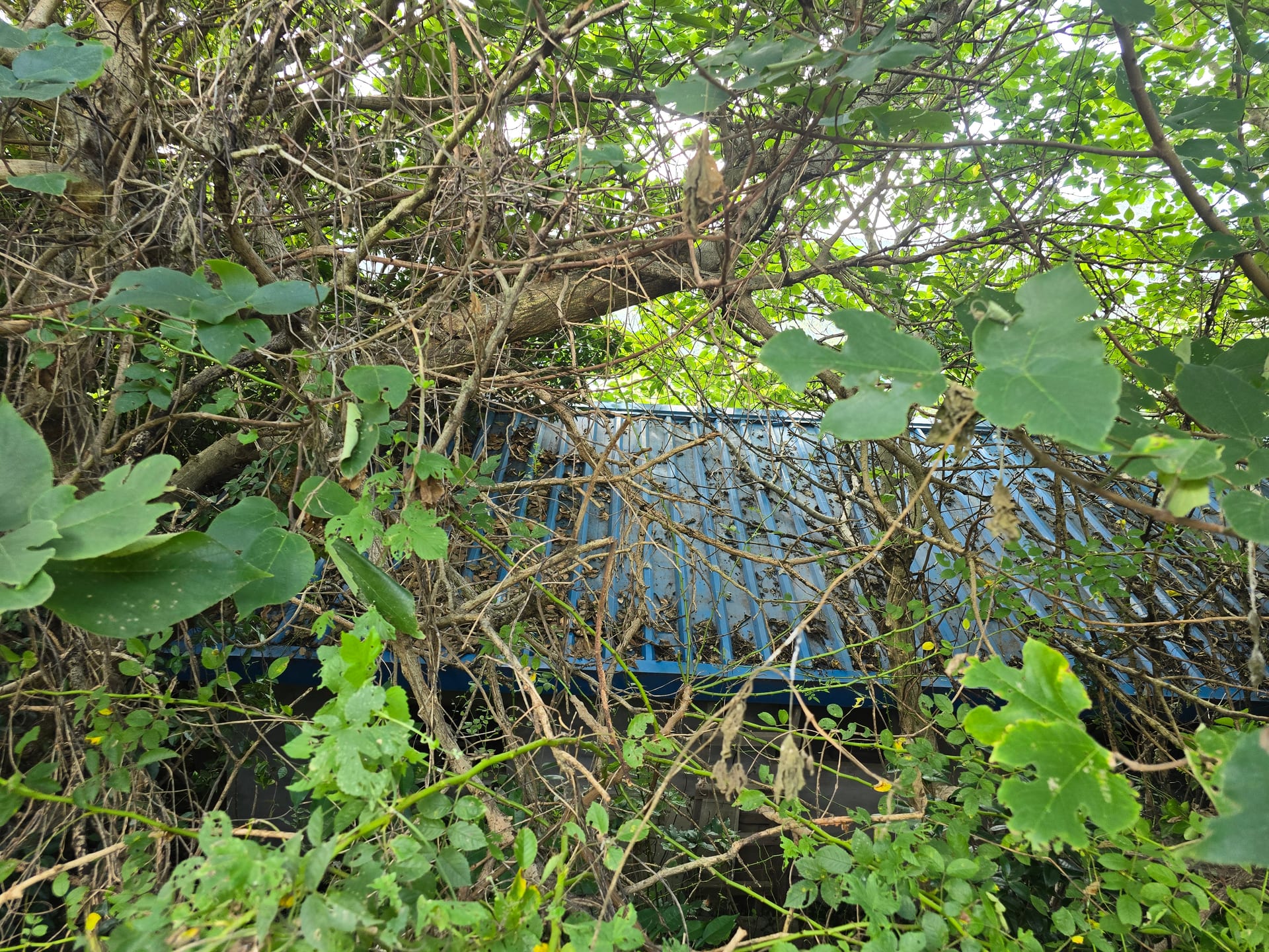 Farmhouse — image 7