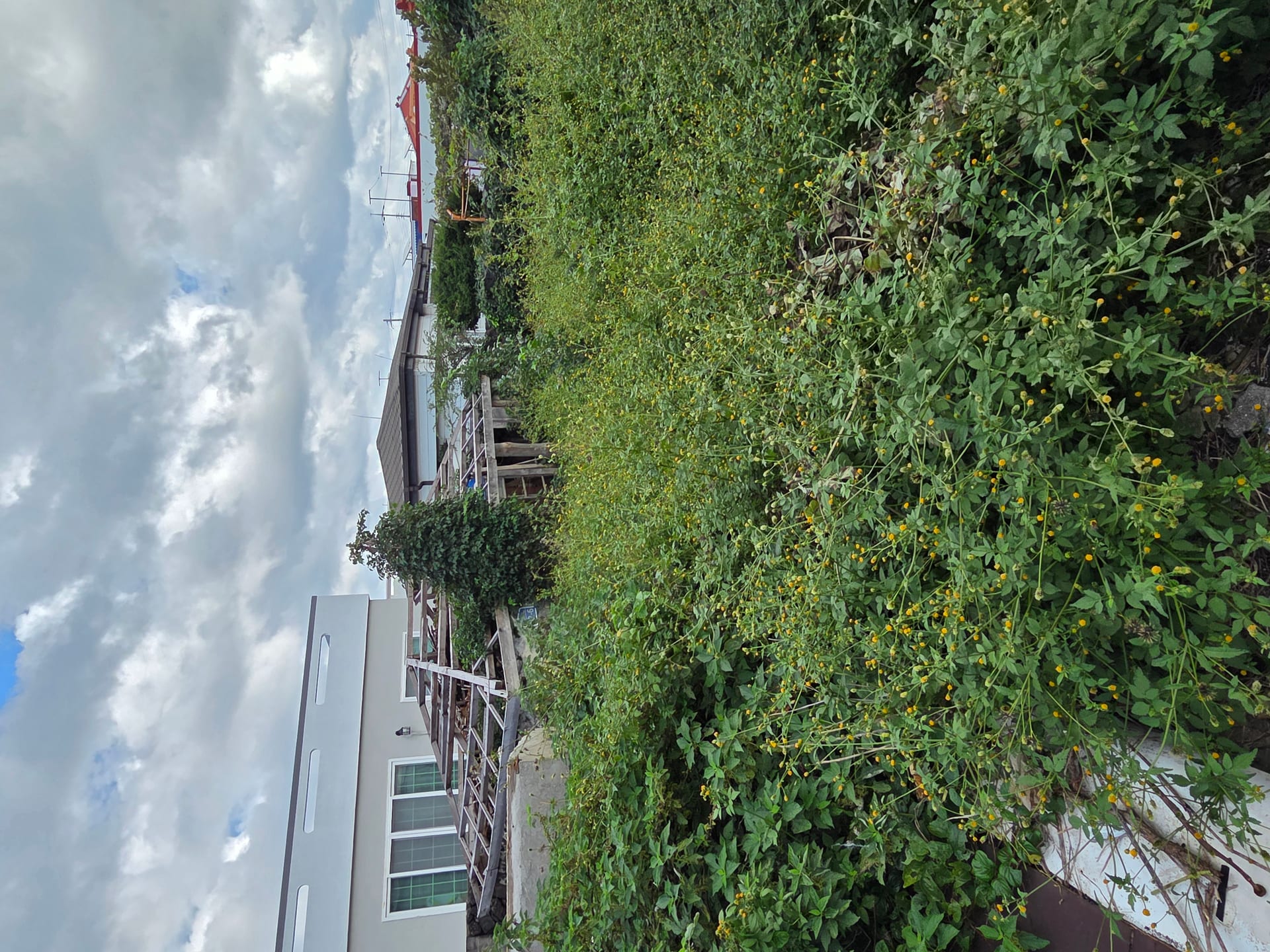 Old farmhouse in Gimnyeong-ri village (vacant house) for sale — image 2