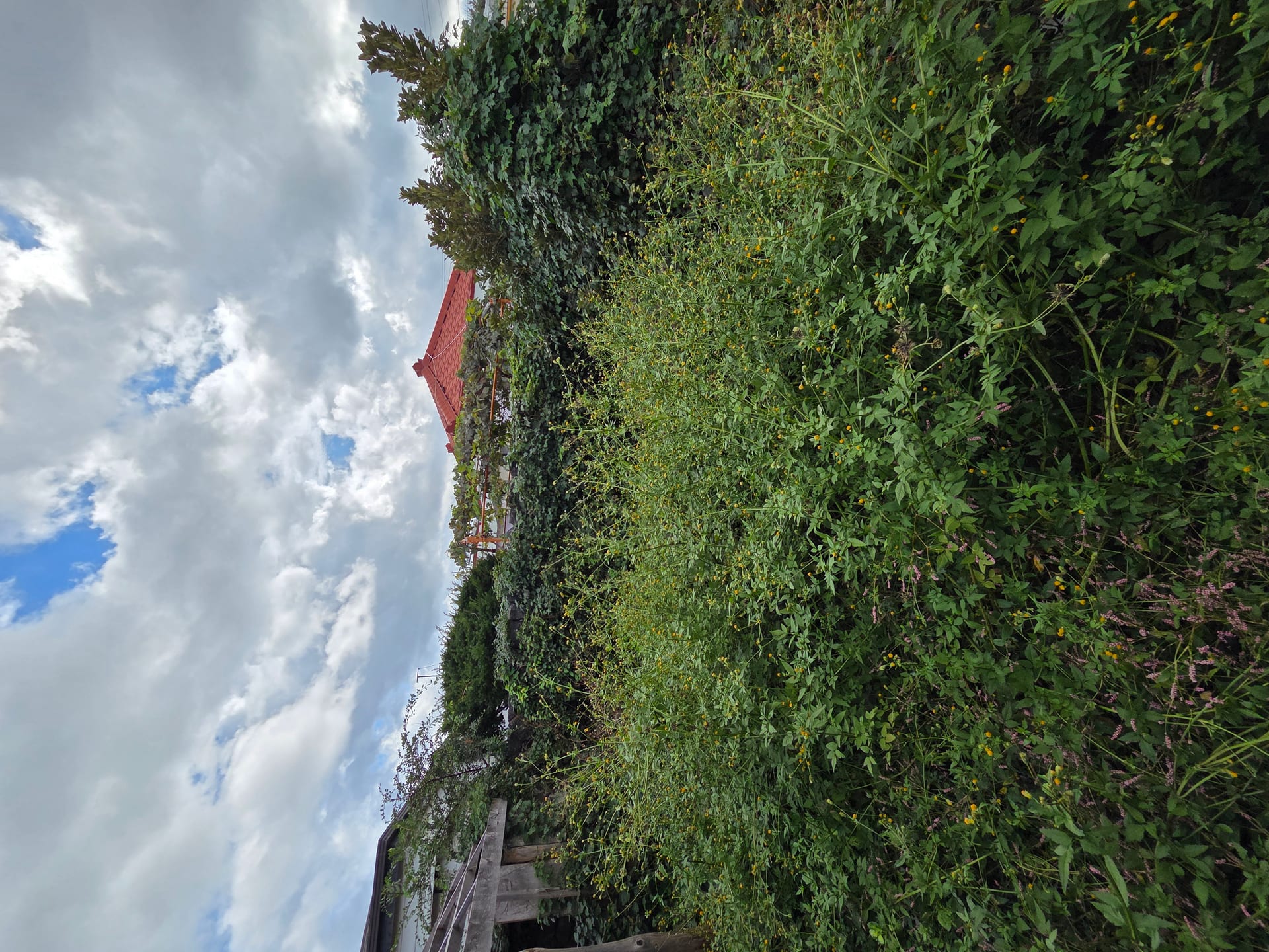 Old farmhouse in Gimnyeong-ri village (vacant house) for sale — image 3