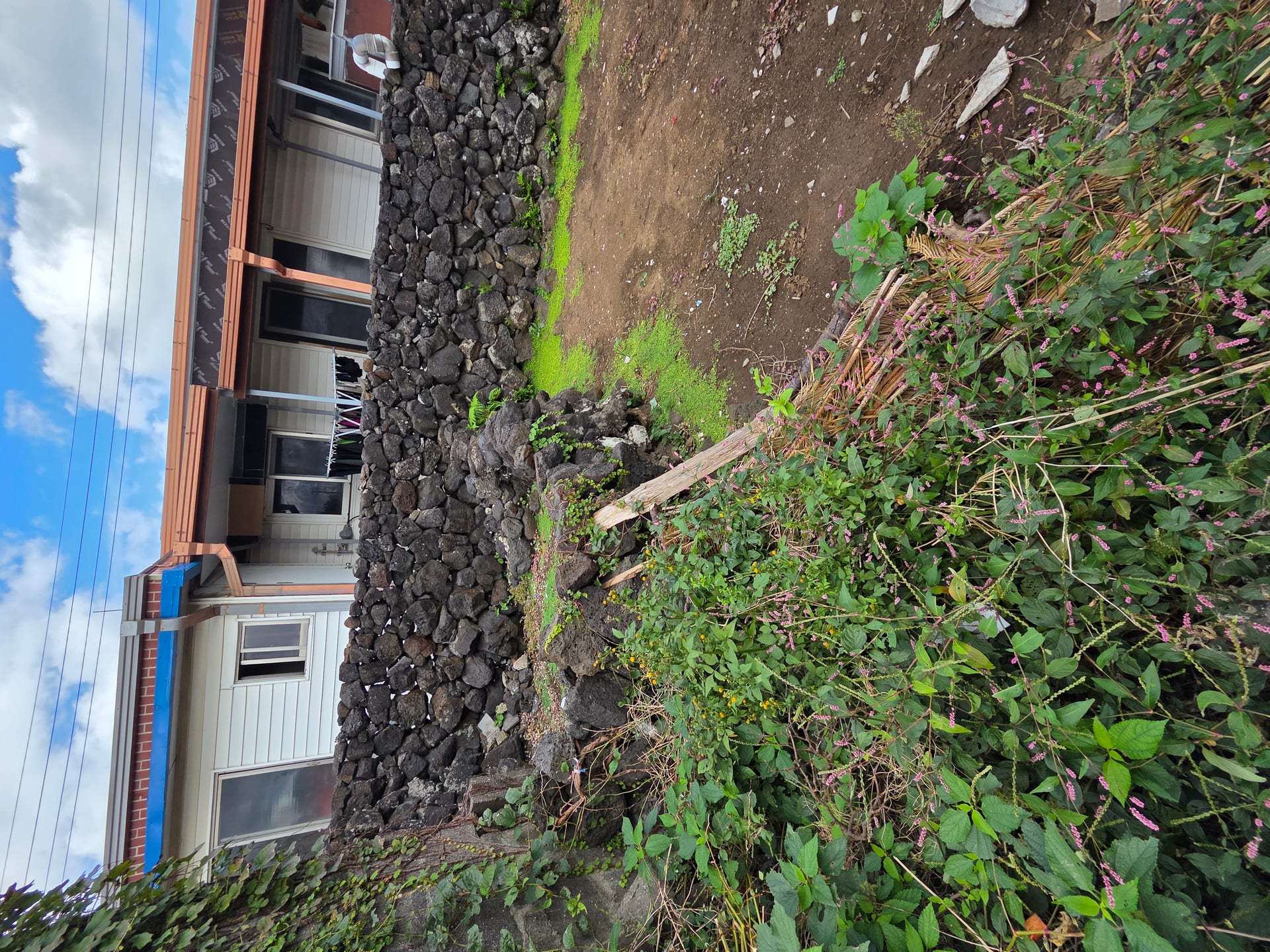 Old farmhouse in Gimnyeong-ri village (vacant house) for sale — image 6