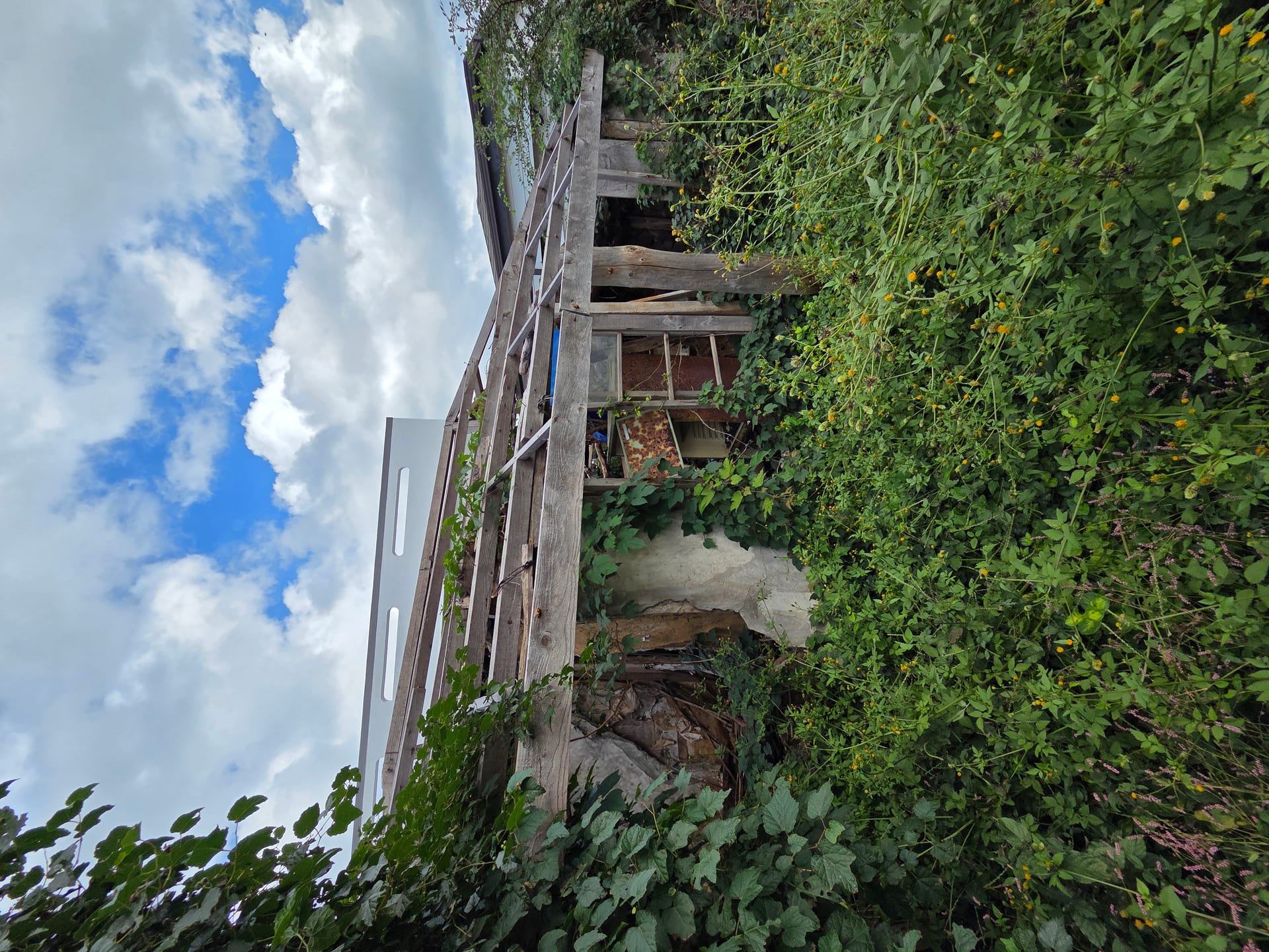 Old farmhouse in Gimnyeong-ri village (vacant house) for sale — image 8