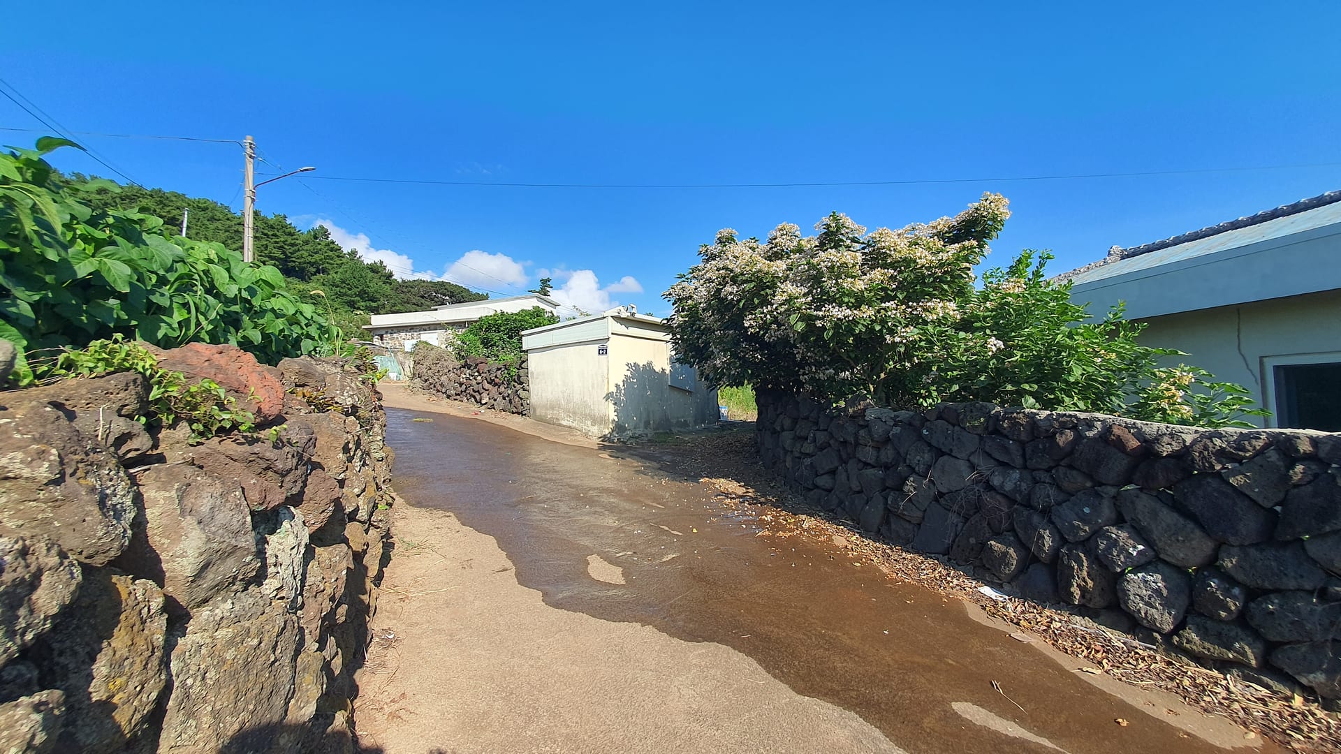 Village house for sale in Sindori, Daejeong-eup — image 3