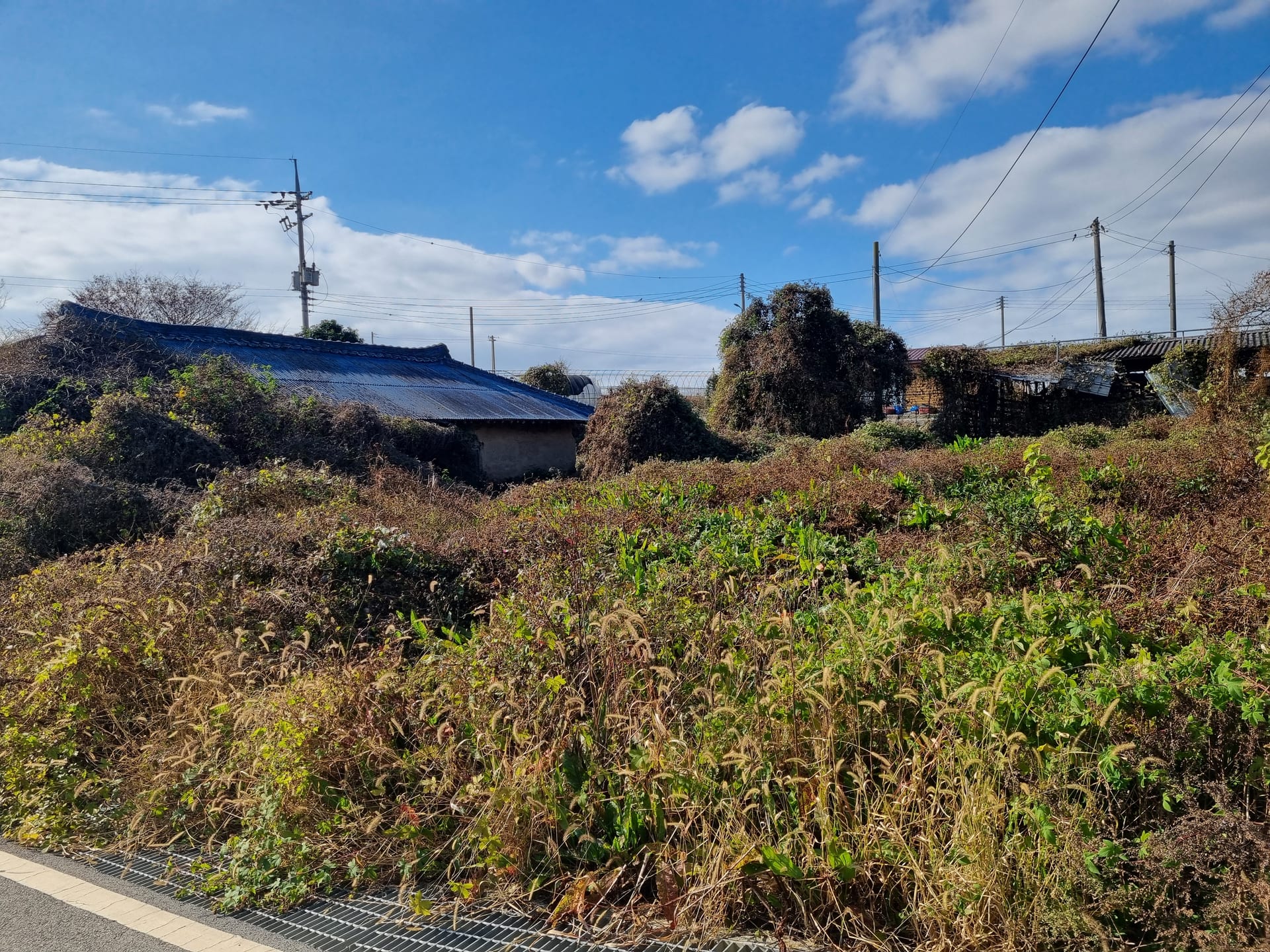 Rural House Sold for Land Price Only