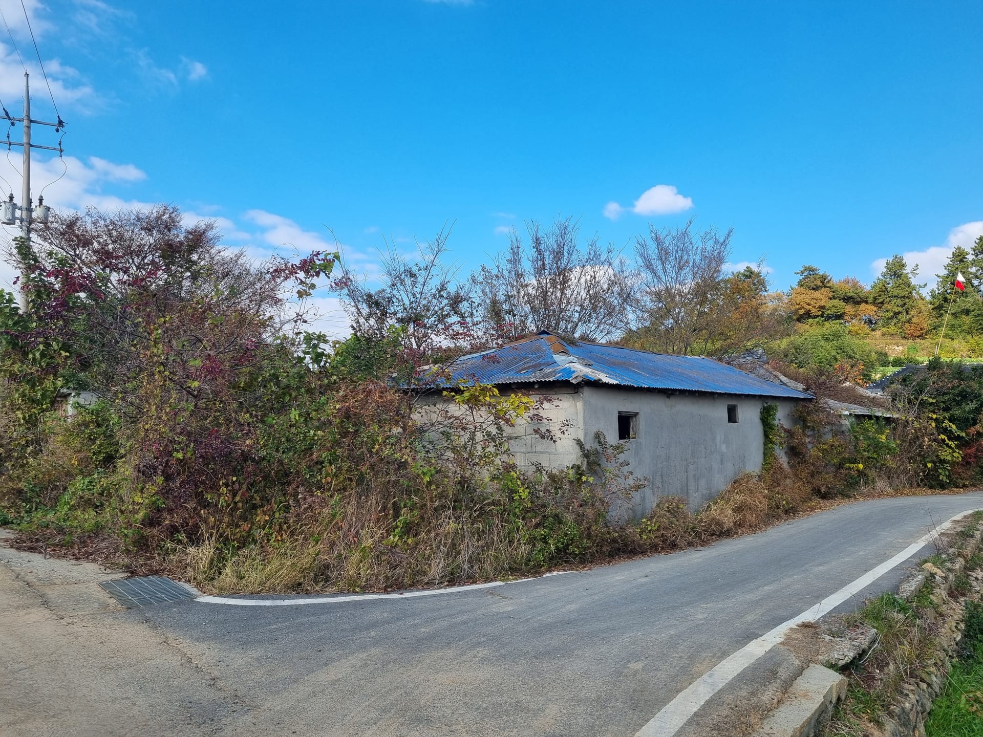 Rural House Sold for Land Price Only — image 3