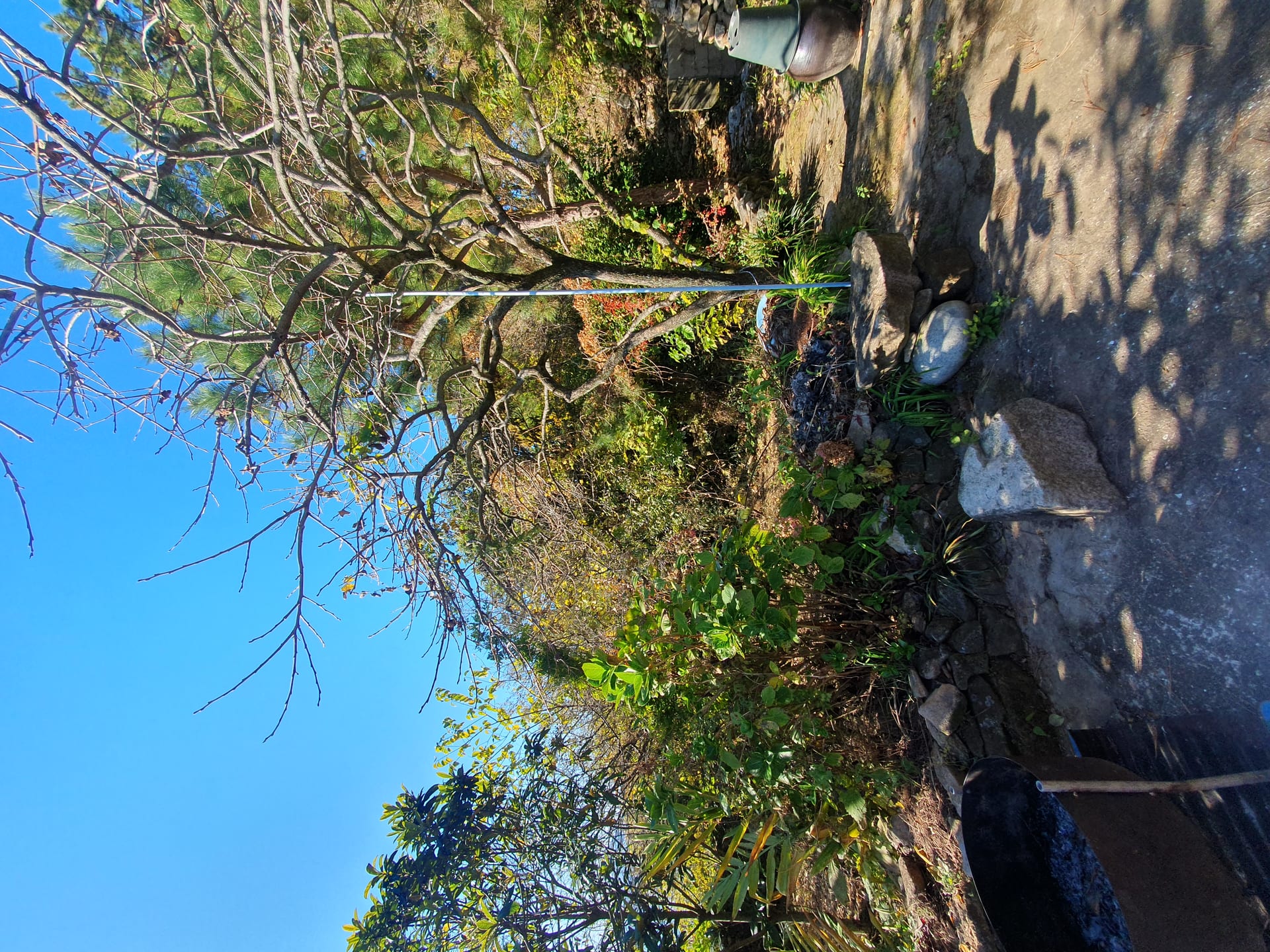 Rural Detached House — image 2