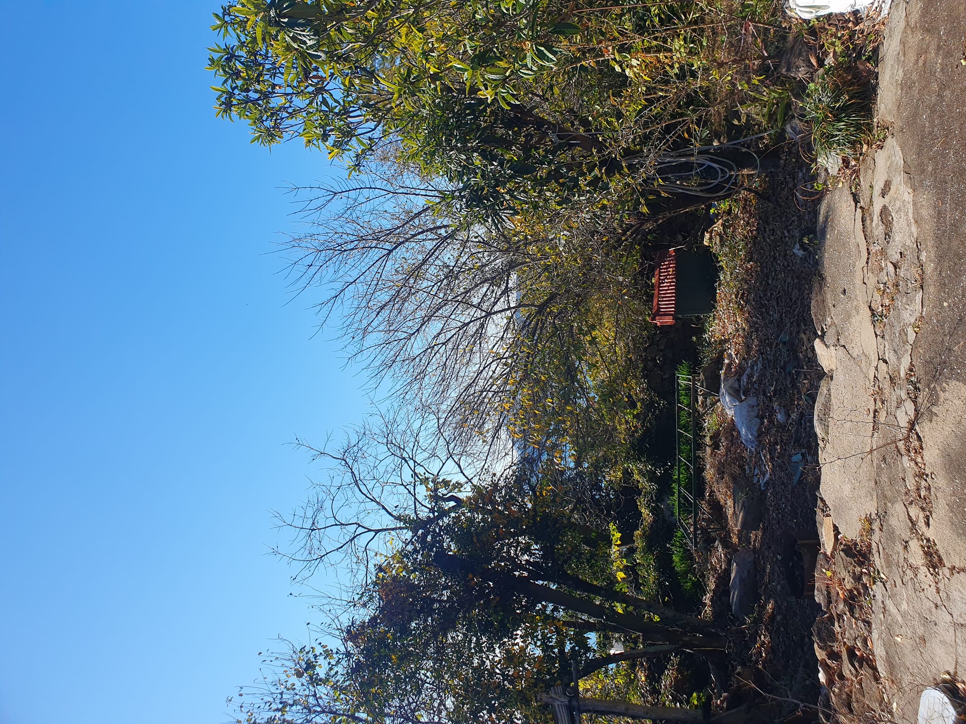 Rural Detached House — image 5