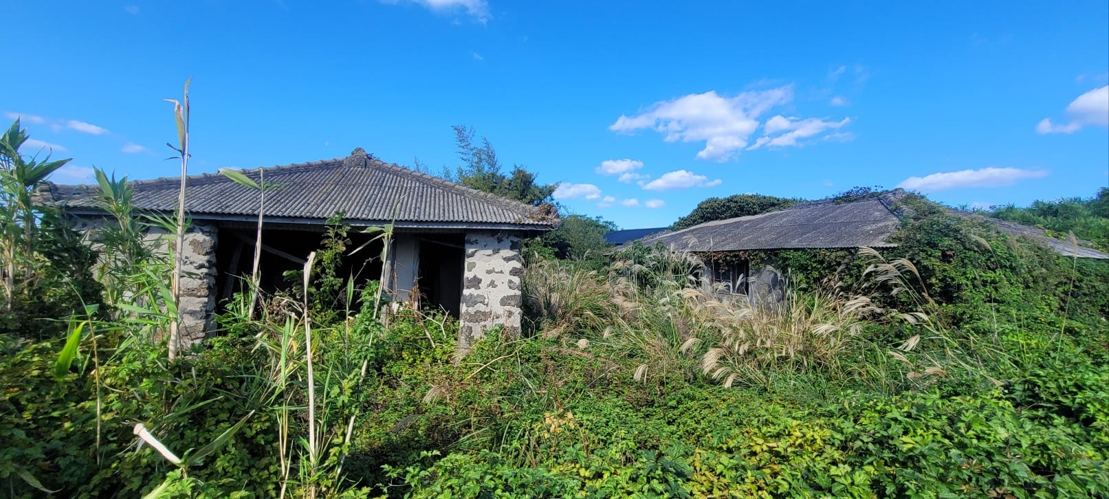 Rare stone house in Gwideok-ri, Hallim-eup / guesthouse / pension / full remodeling needed — image 2
