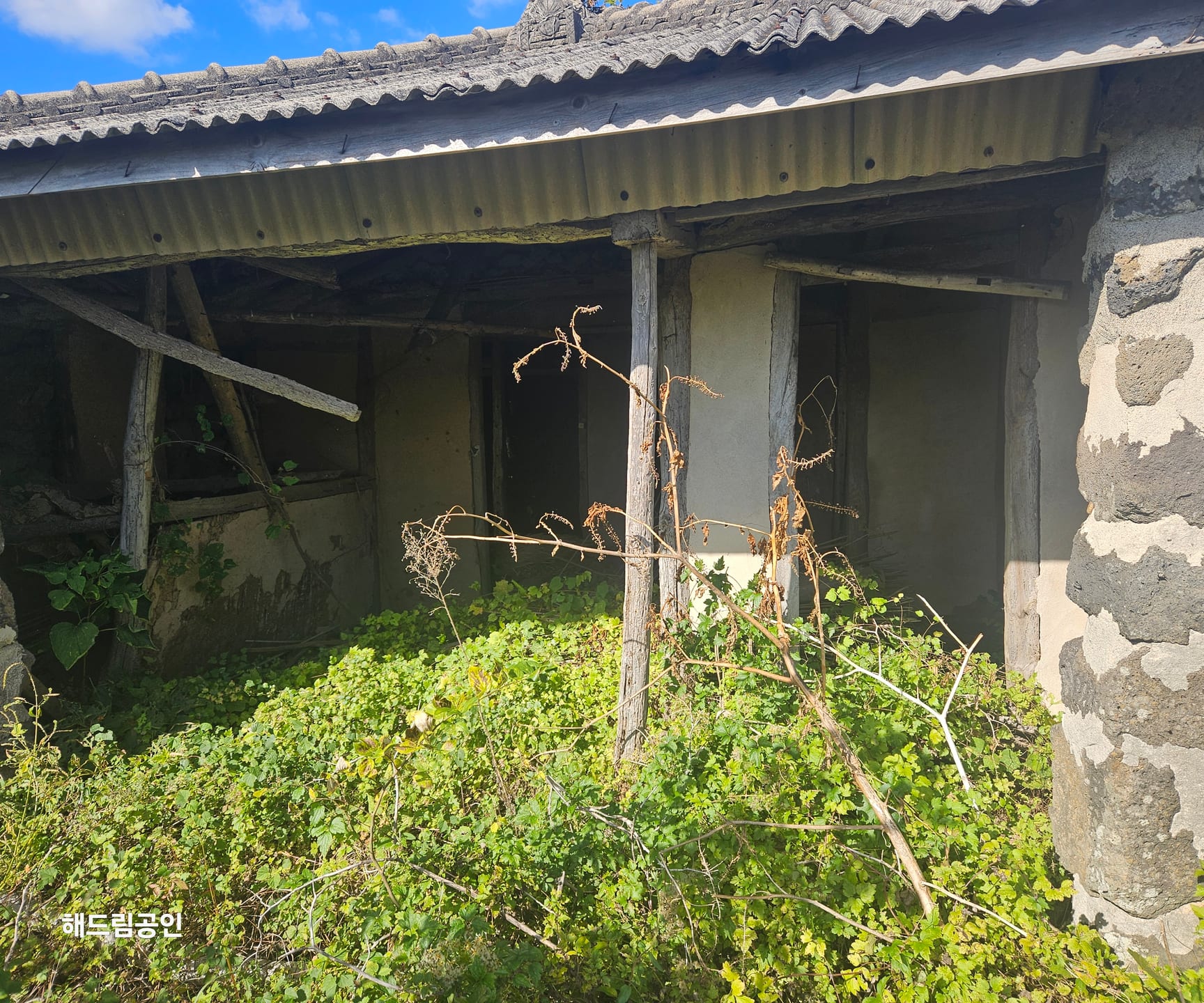 Rare stone house in Gwideok-ri, Hallim-eup / guesthouse / pension / full remodeling needed — image 5