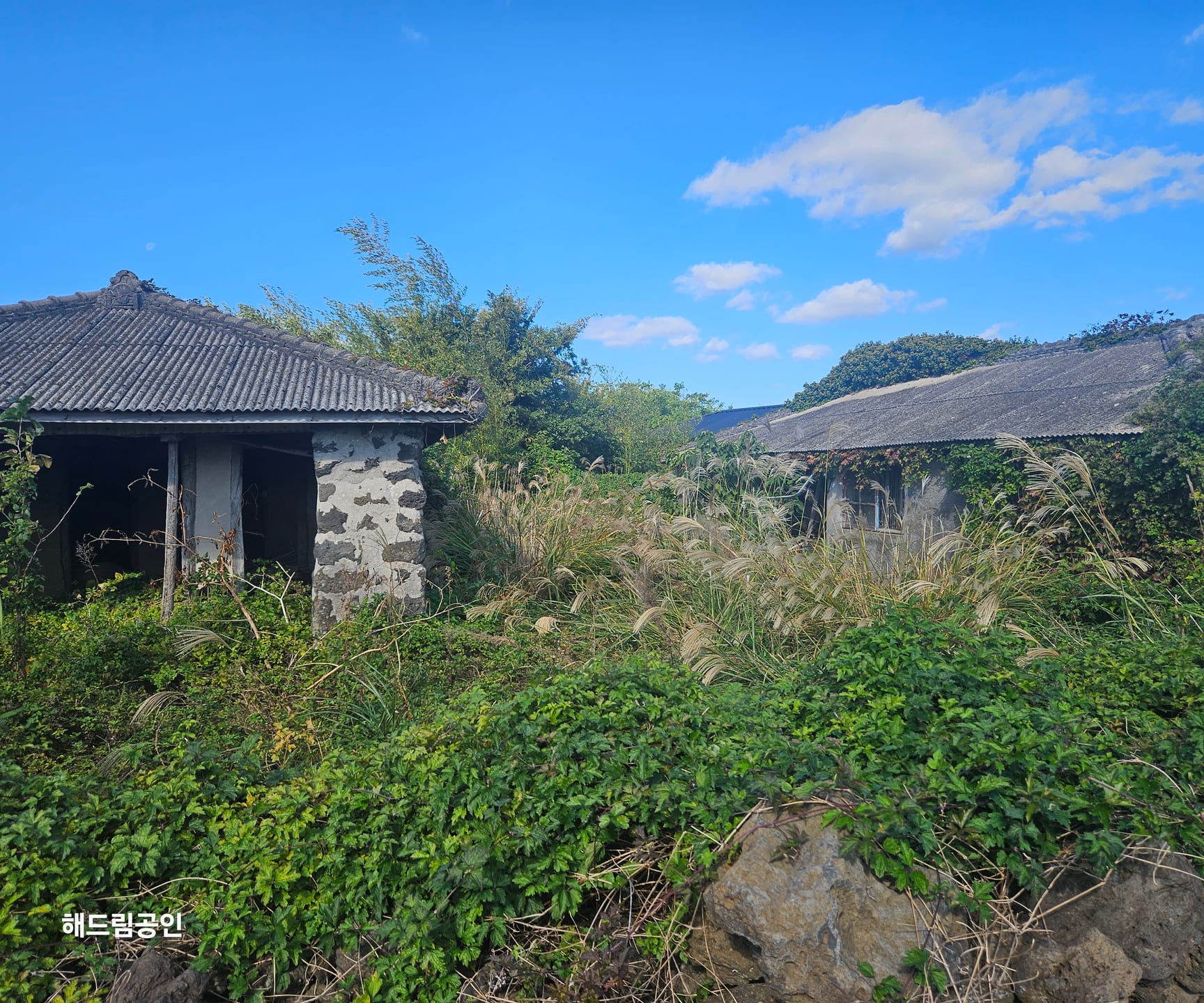 Rare stone house in Gwideok-ri, Hallim-eup / guesthouse / pension / full remodeling needed — image 9