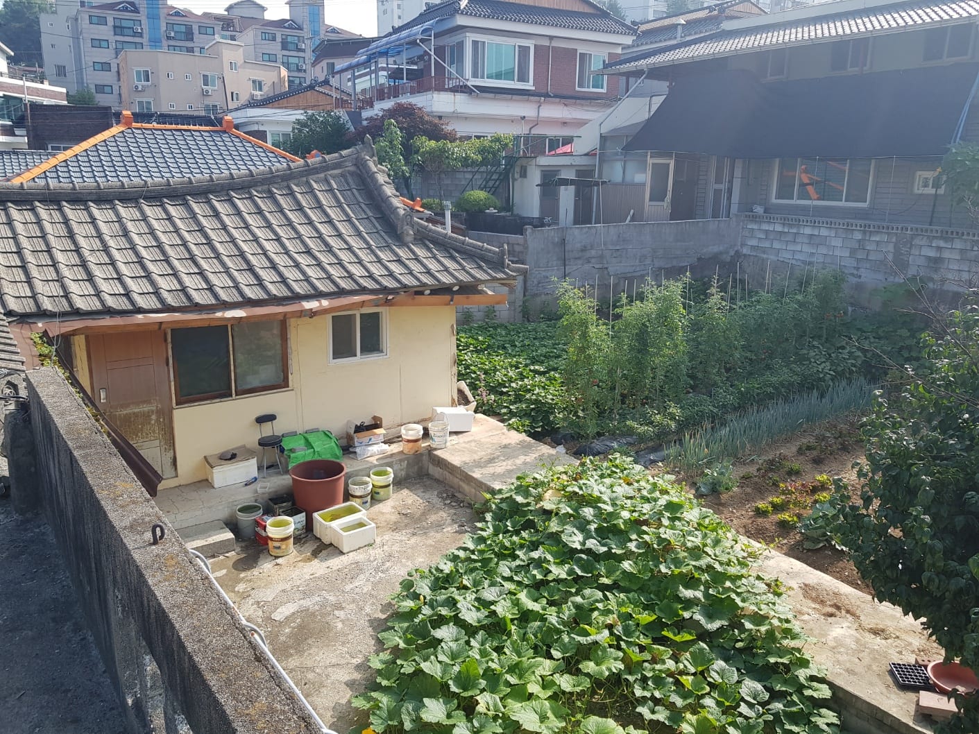 Detached house in downtown Jecheon with a large lot and excellent living infrastructure — image 4