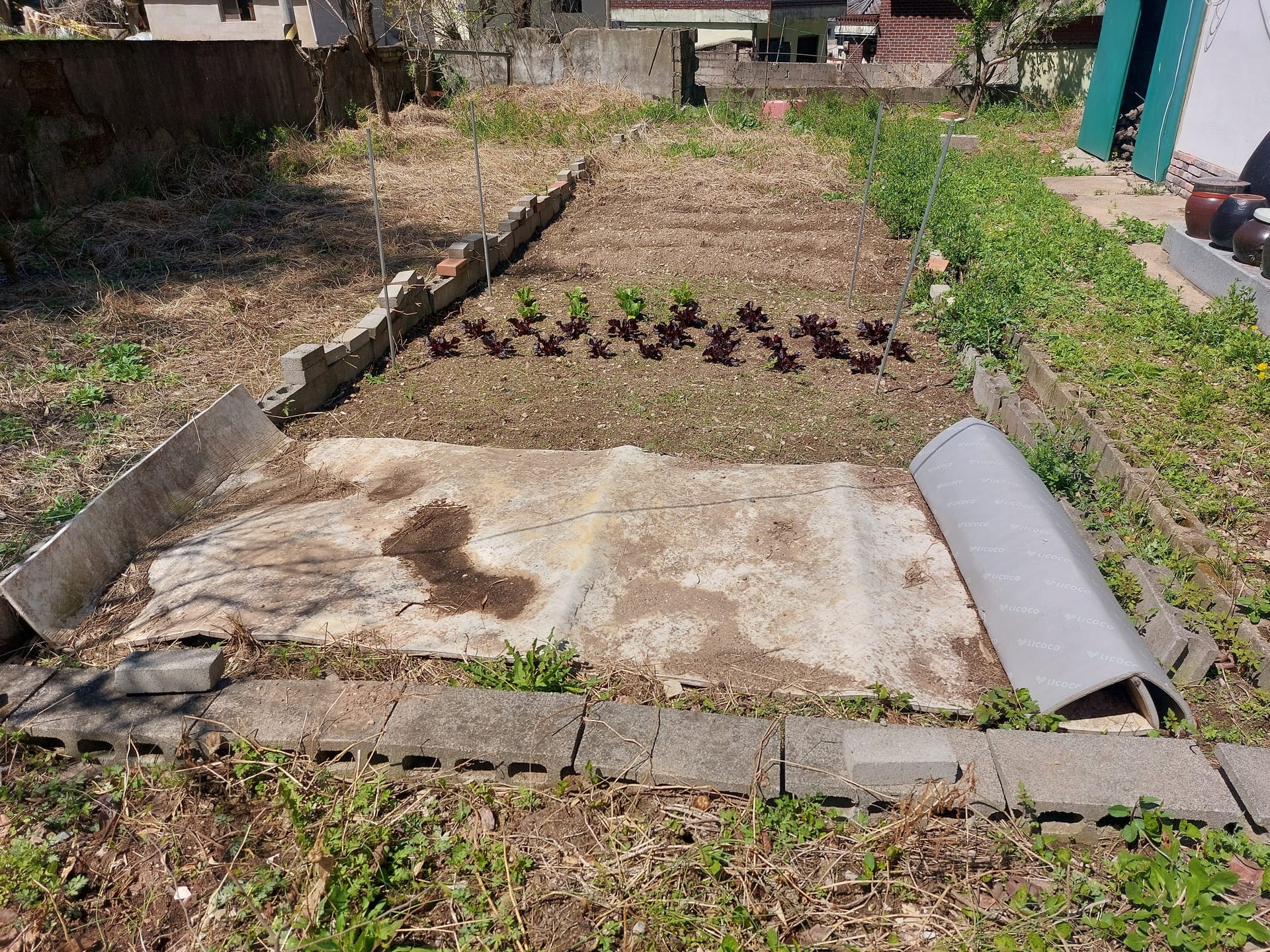 Rural house for sale — image 4