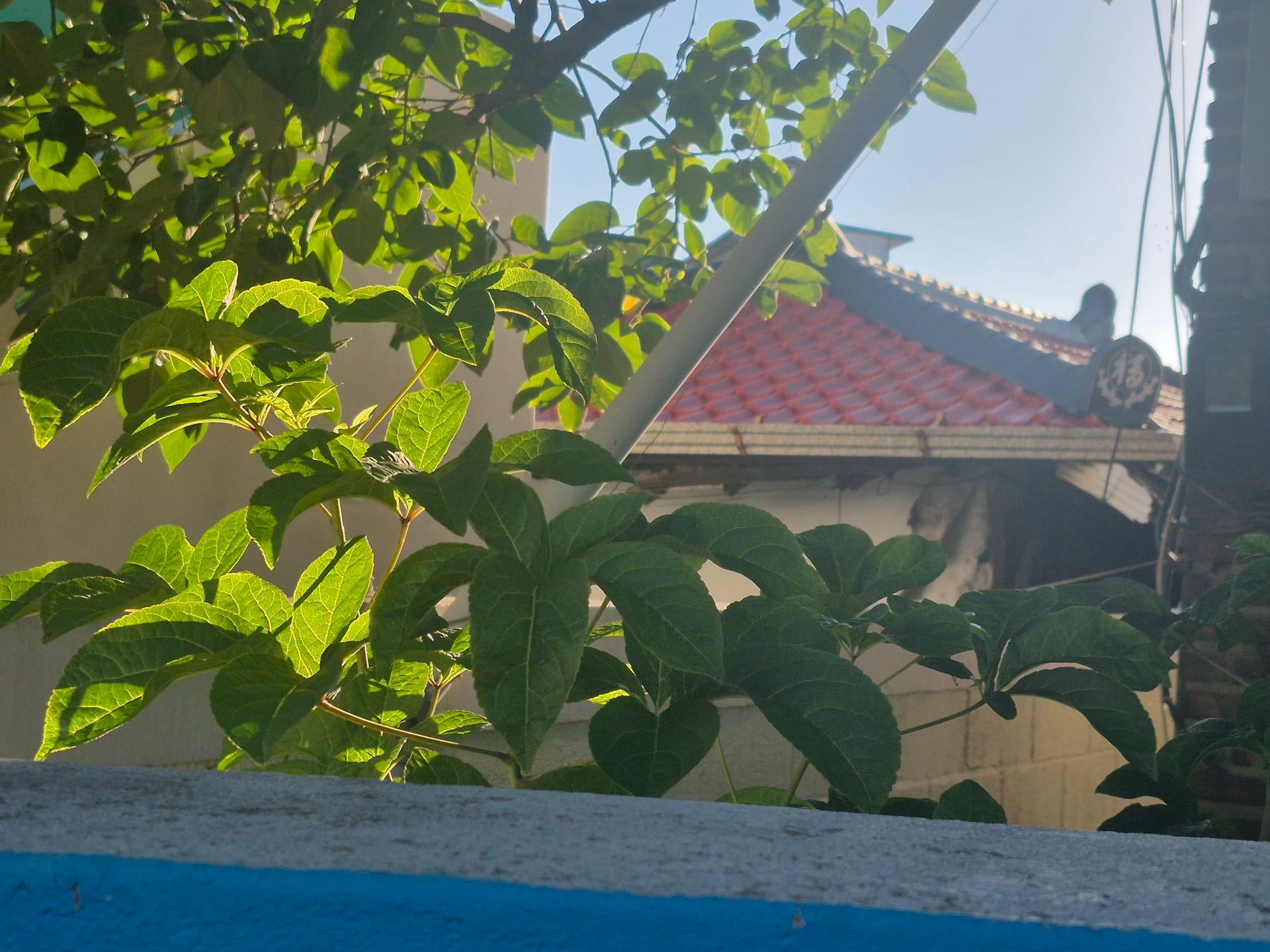 House in a Quiet Residential Area