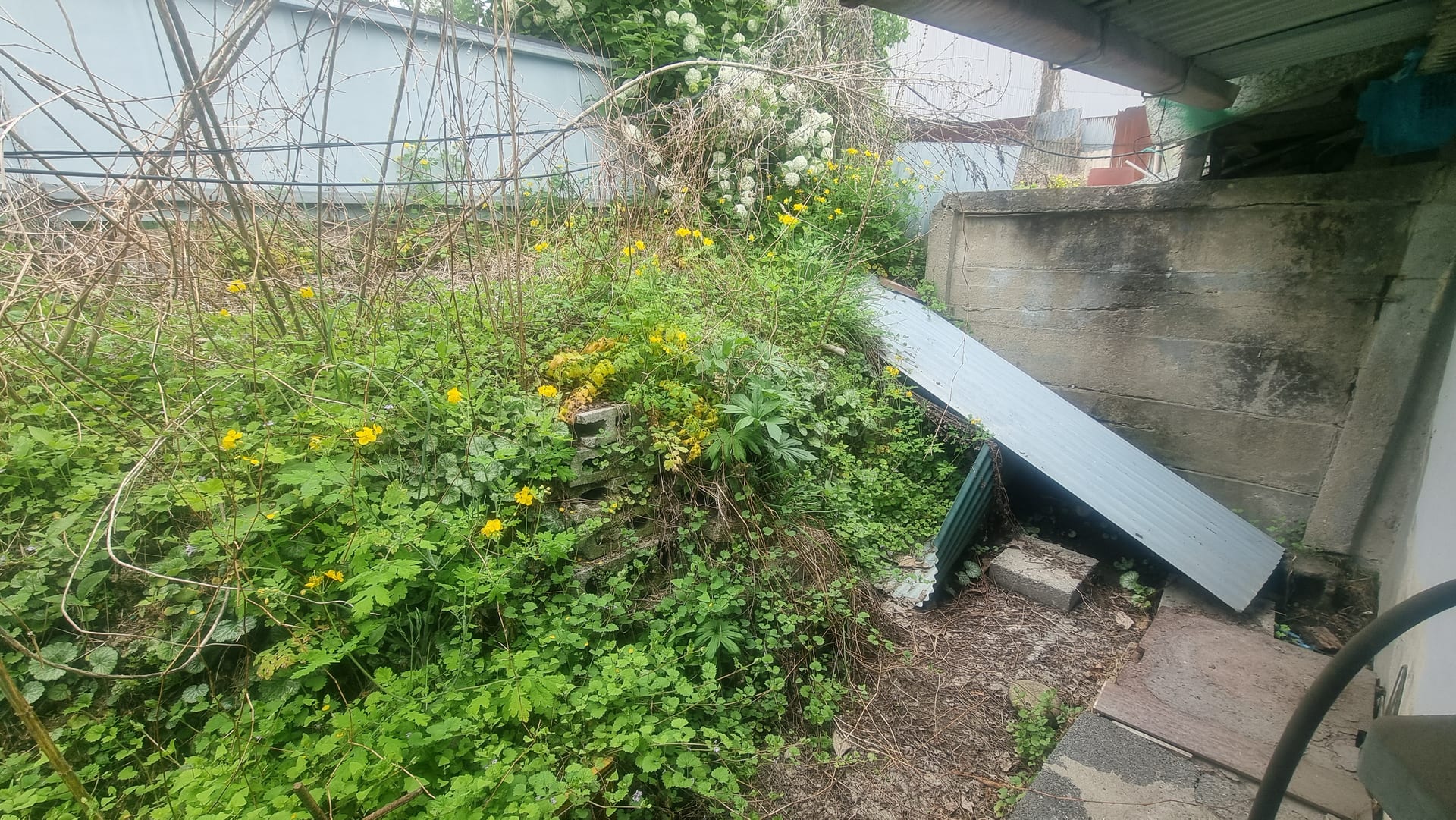 Low-cost detached monthly rental with versatile use — image 6