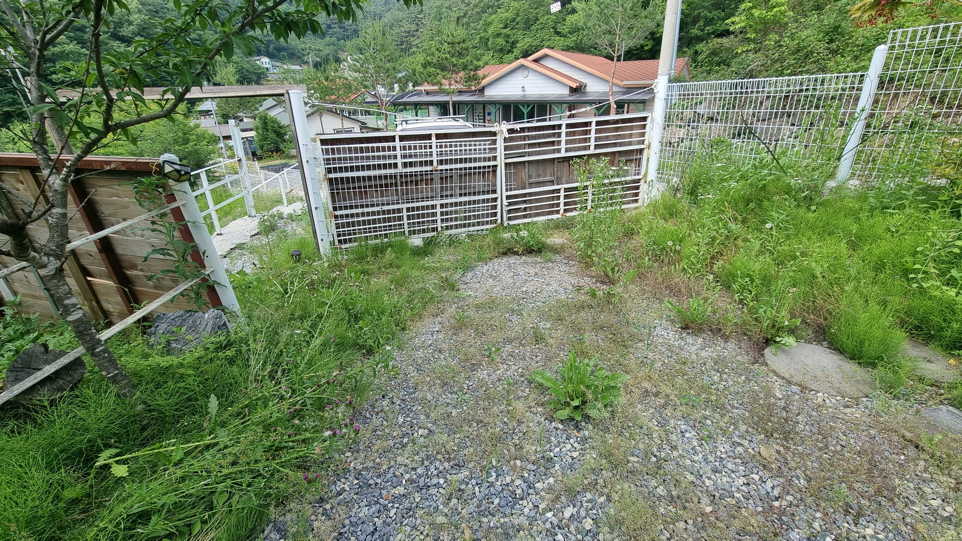 Ready to Move-in Rural House in Nature — image 9