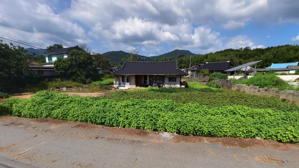 Rural house (large yard, vegetable garden)