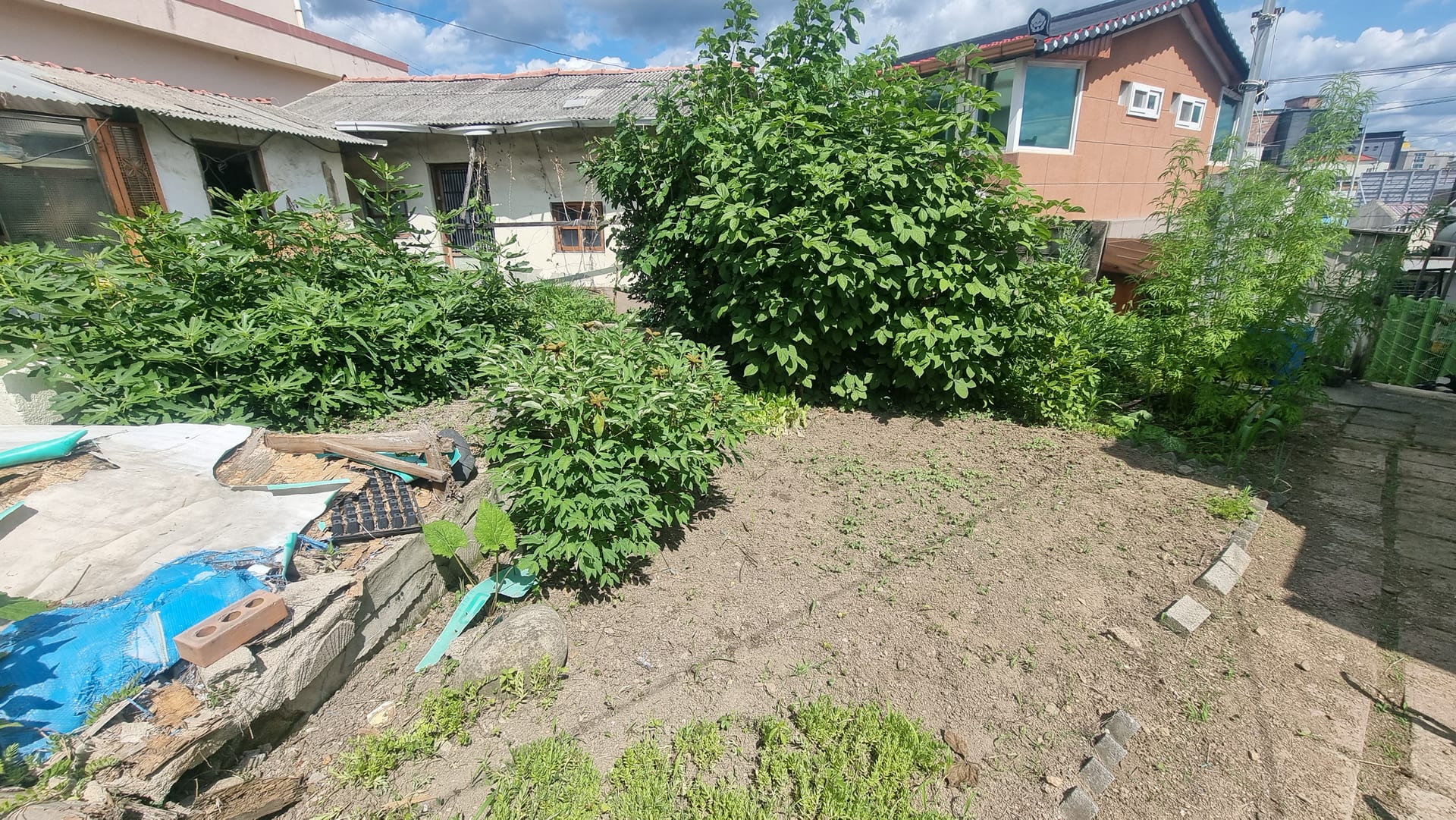 Old house with a large lot, includes a paved path for pedestrian access
