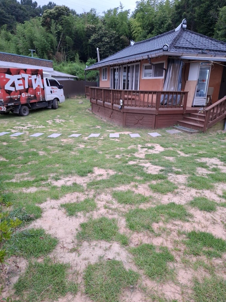 Rural house (yard parking / flat forest land also provided) — image 3
